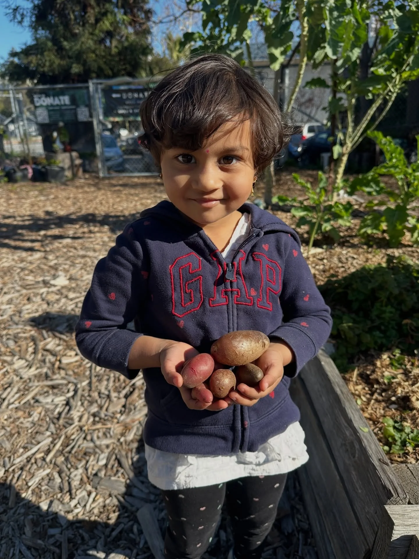 Potatoes, cauliflower, and monarch butterfly larva. Happy weekends 🤩🌱☀️