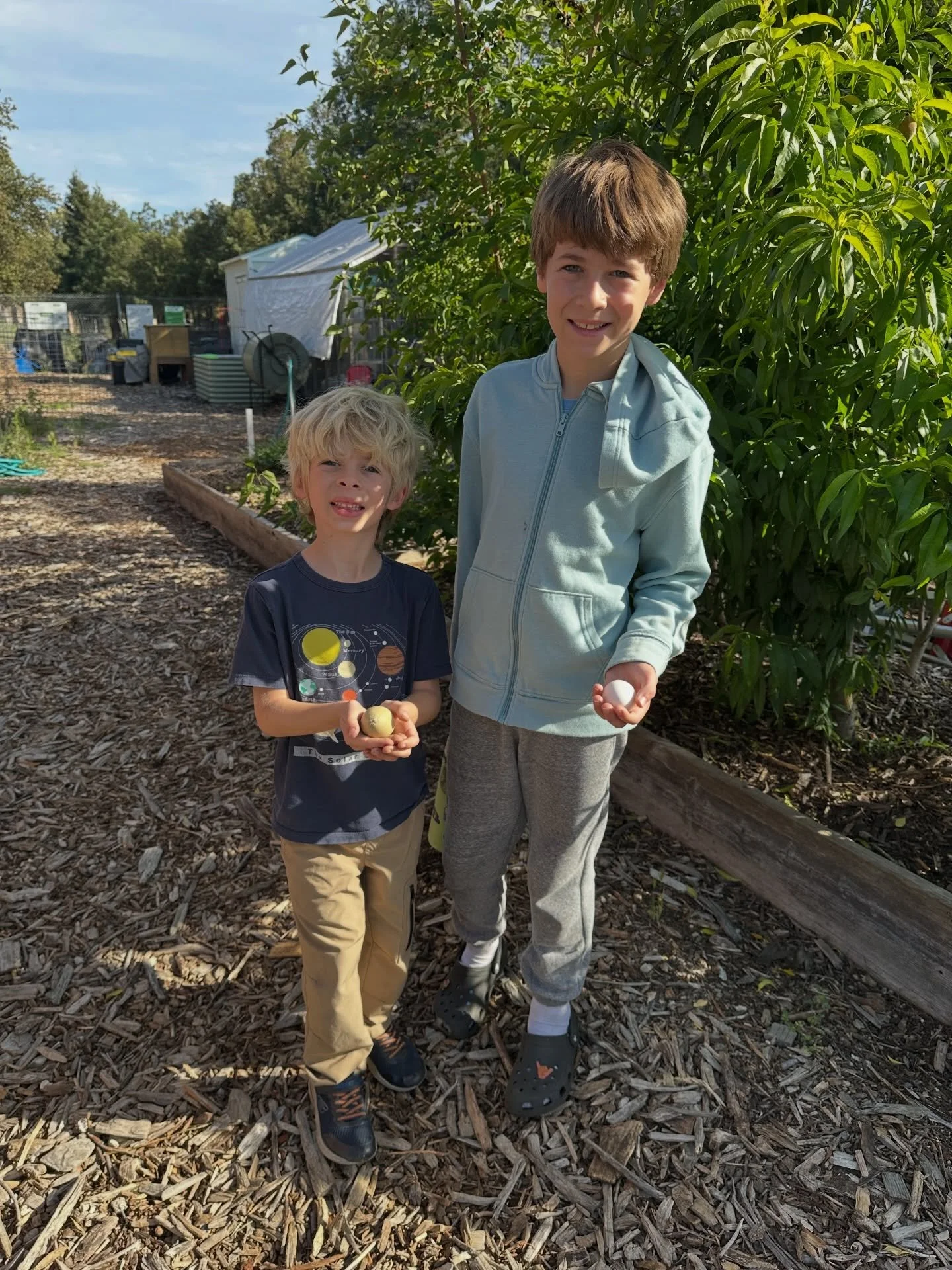 Eggs, berries, and greens = happy farm volunteers ☀️