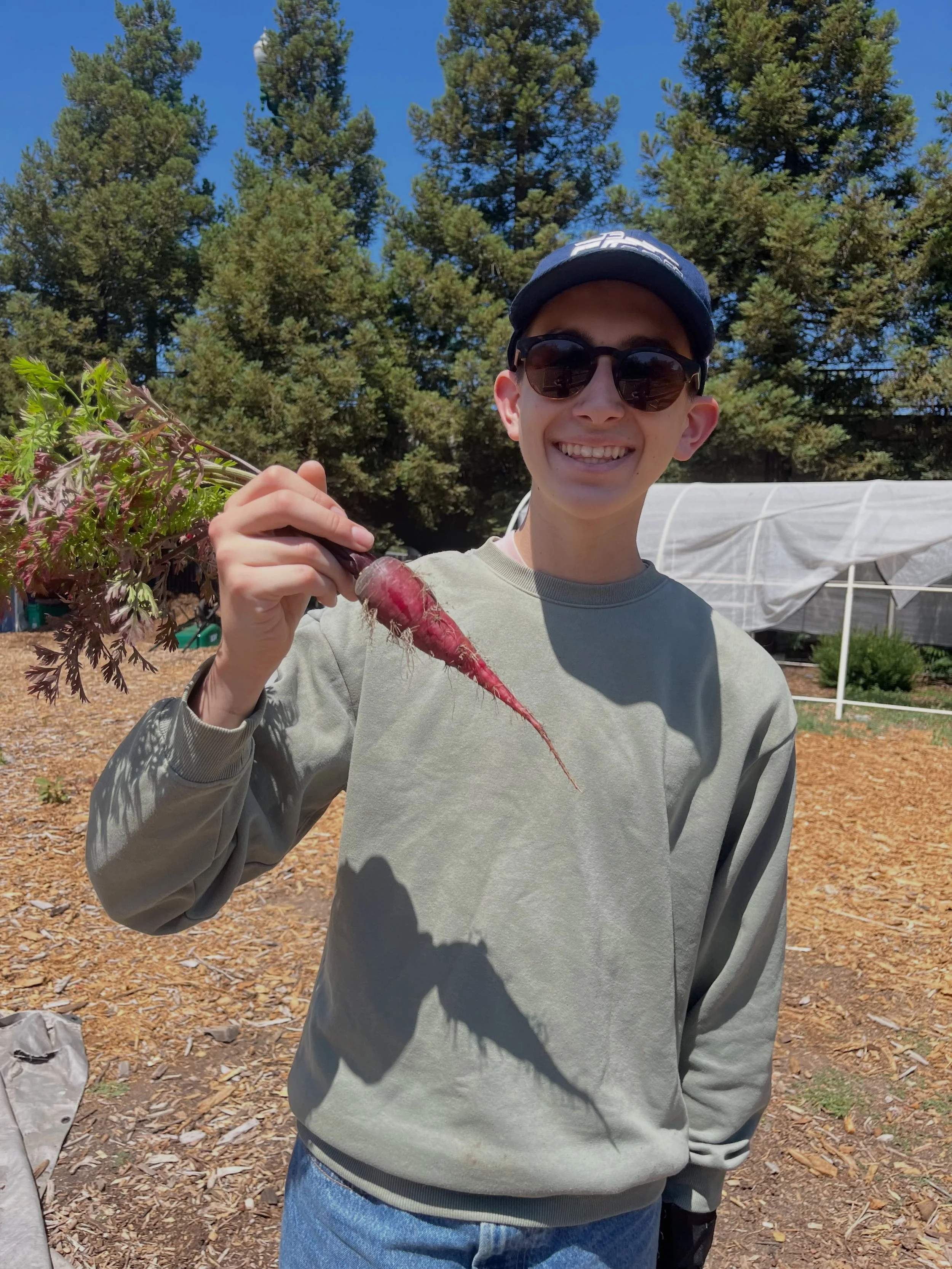 Who knew carrots could be so beautiful 🥕 nature truly creatives the most stunning art. Thank you Mother Earth 🌎❤️ and our volunteers do capturing it! 

#volunteering #natureisbeatuy #growfood #bayarea