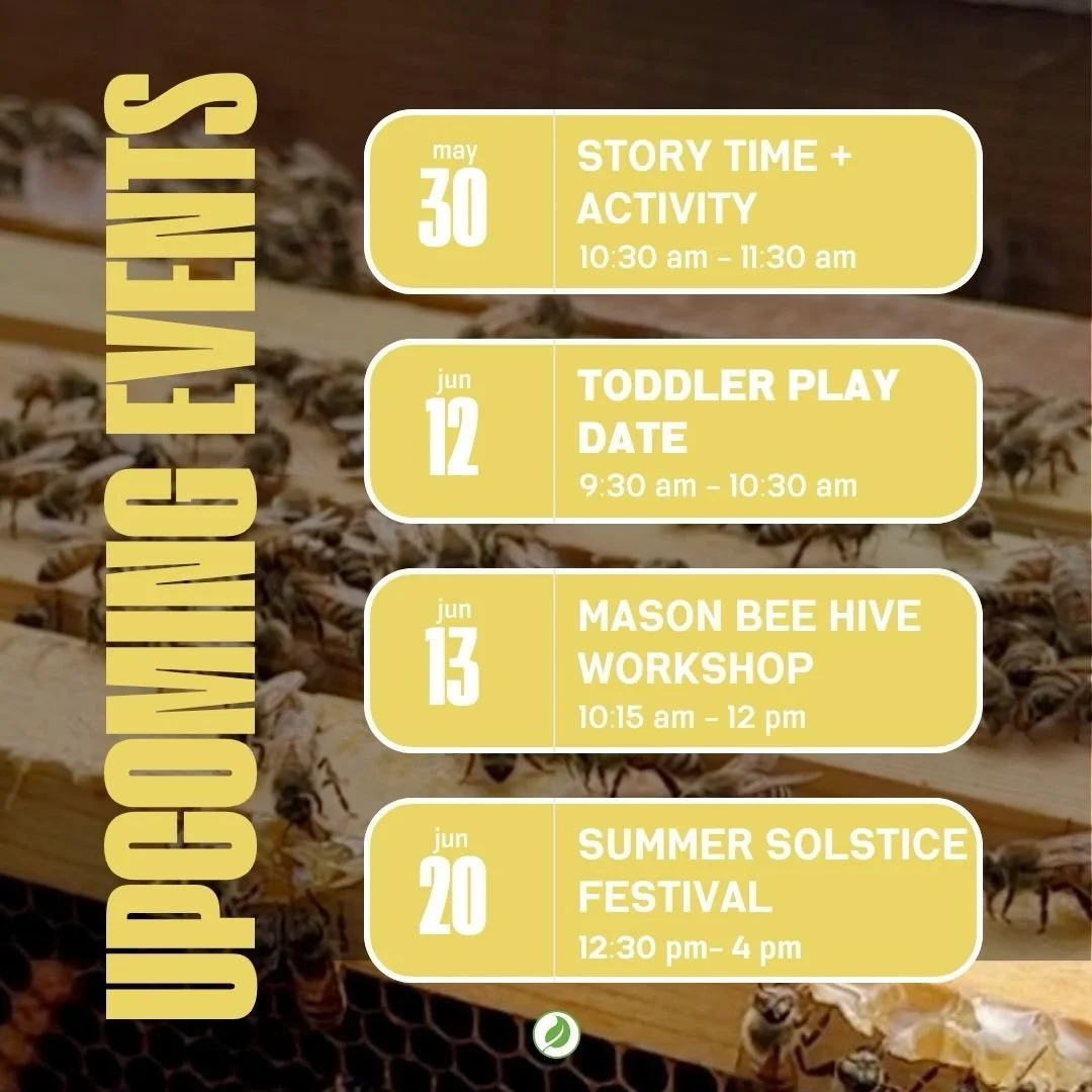 Upcoming summer events at the farm! Check out our website&rsquo;s events page to learn more and sign up!! See you at the farm 📚☀️🐝

#bayarea #sanjose #farmevents #growfood