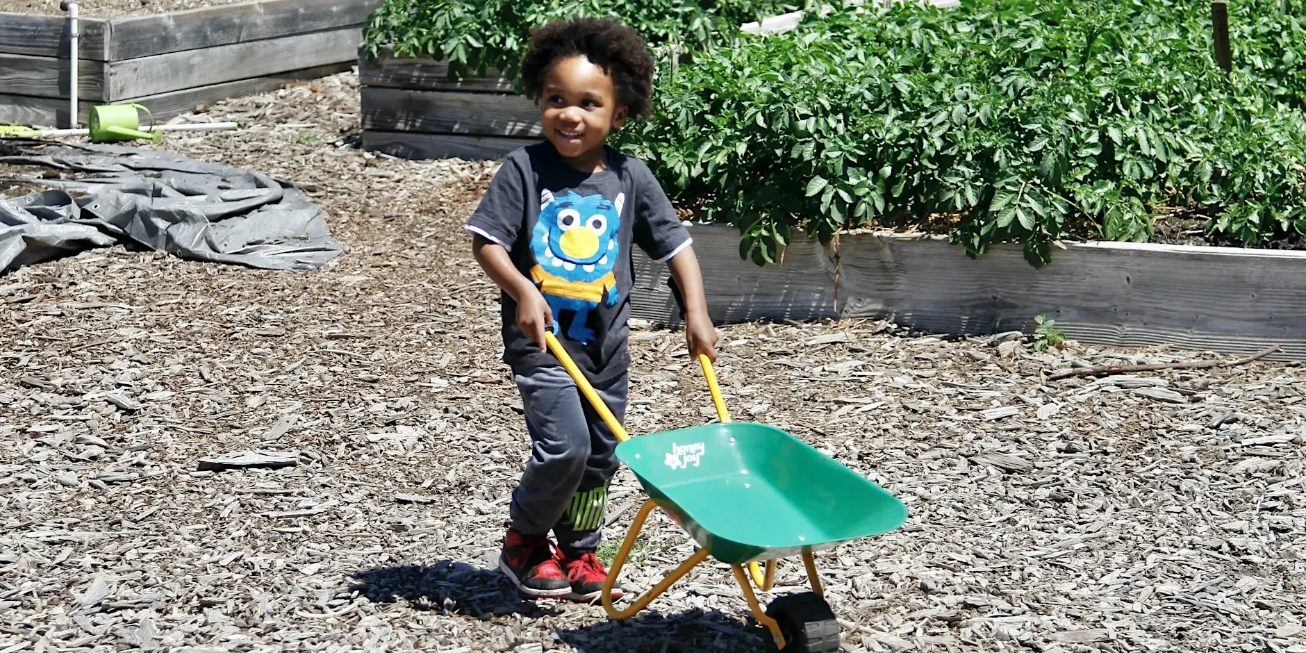 Toddler Play Date at the Farm