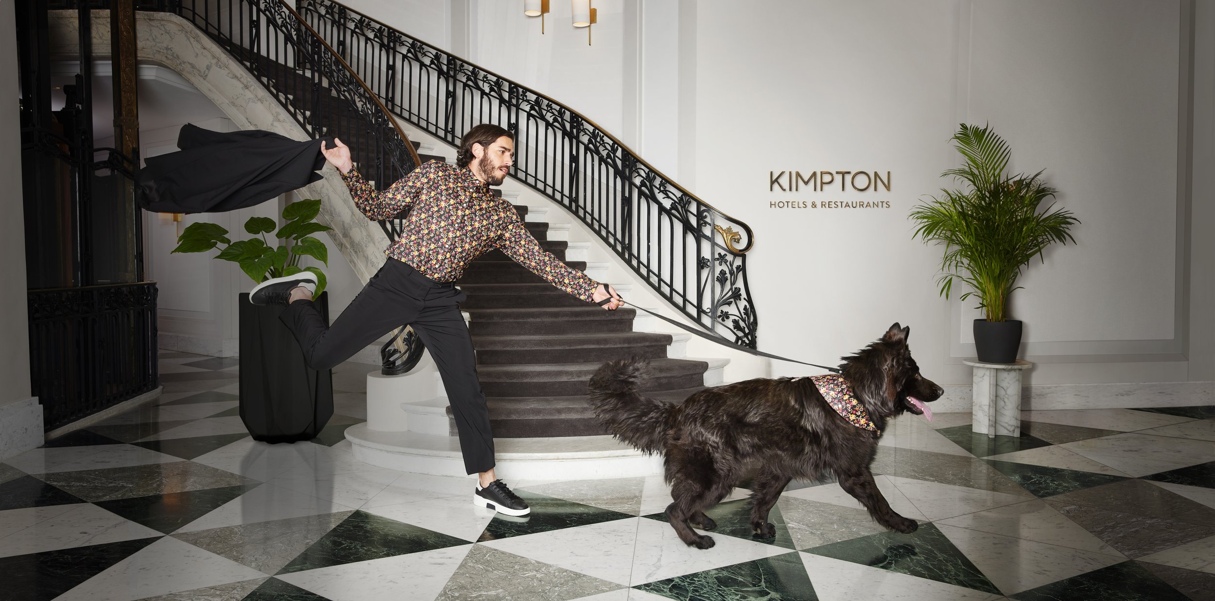 12_MJ_IHG_DOG_ARRIVAL_03955_v11.jpg
