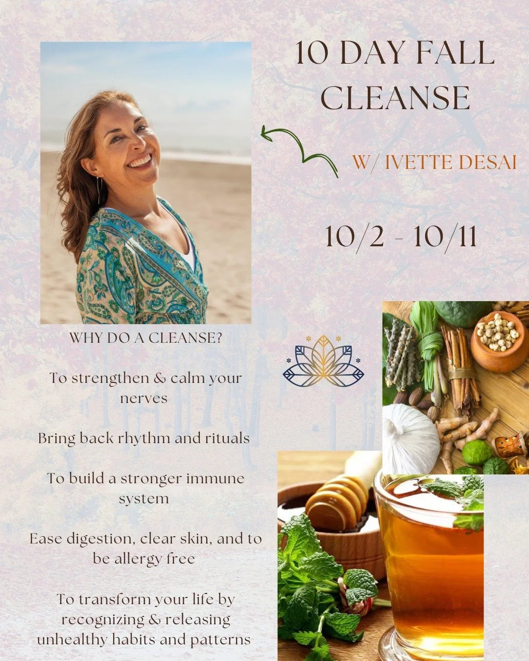 Fall is a season of release, renewal, and reset&mdash;and we couldn&rsquo;t be more excited to welcome back Ivette to the studio! 

Ivette who once taught gentle flow at the studio when we first opened, now returns to us as an Ayurvedic coach to guid