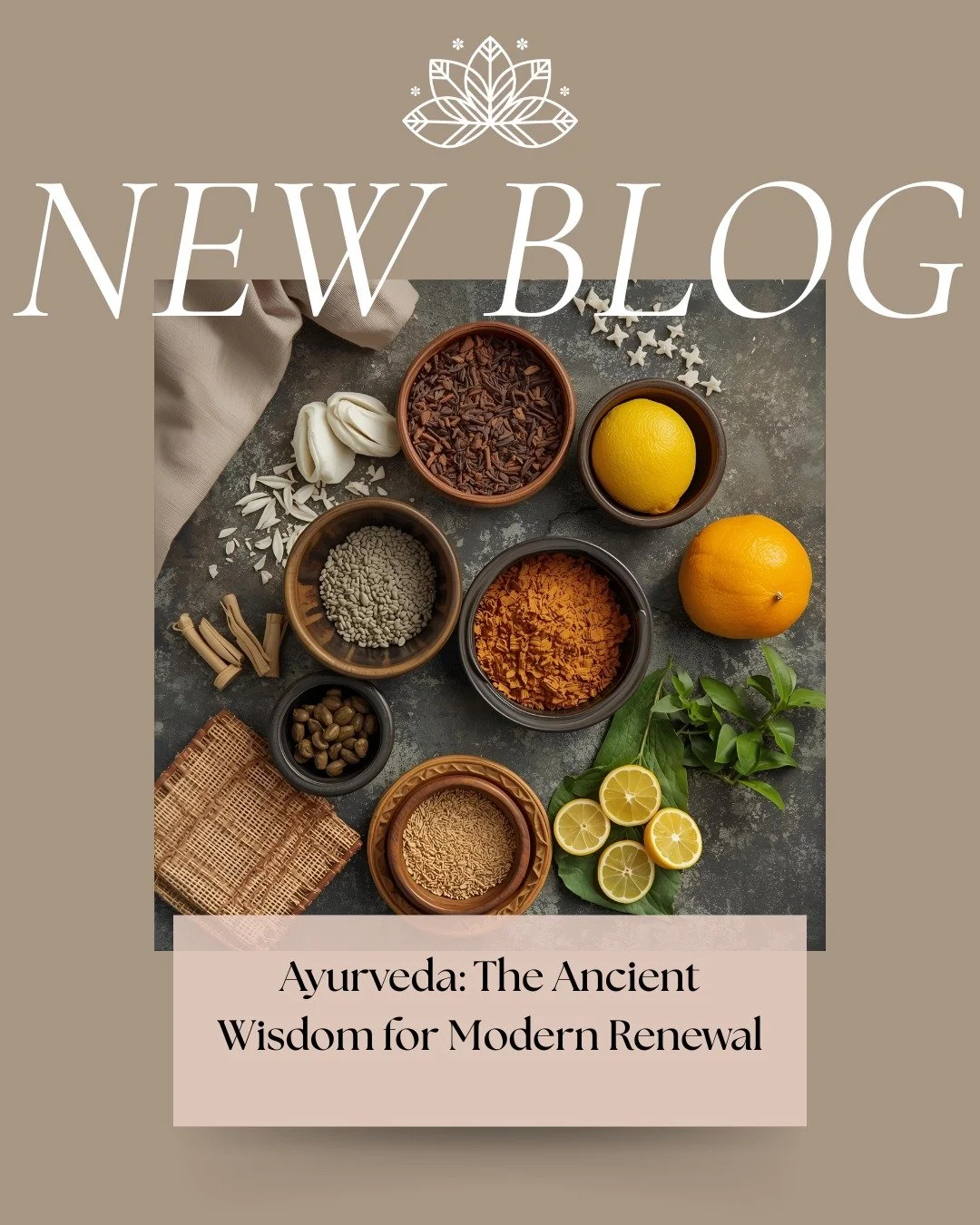 Fall is Vata season &mdash; a time of crisp air, change, and movement. Ayurveda offers timeless tools to stay grounded, nourished, and at ease during this airy, shifting season.

Follow the link in our bio to read the blog!