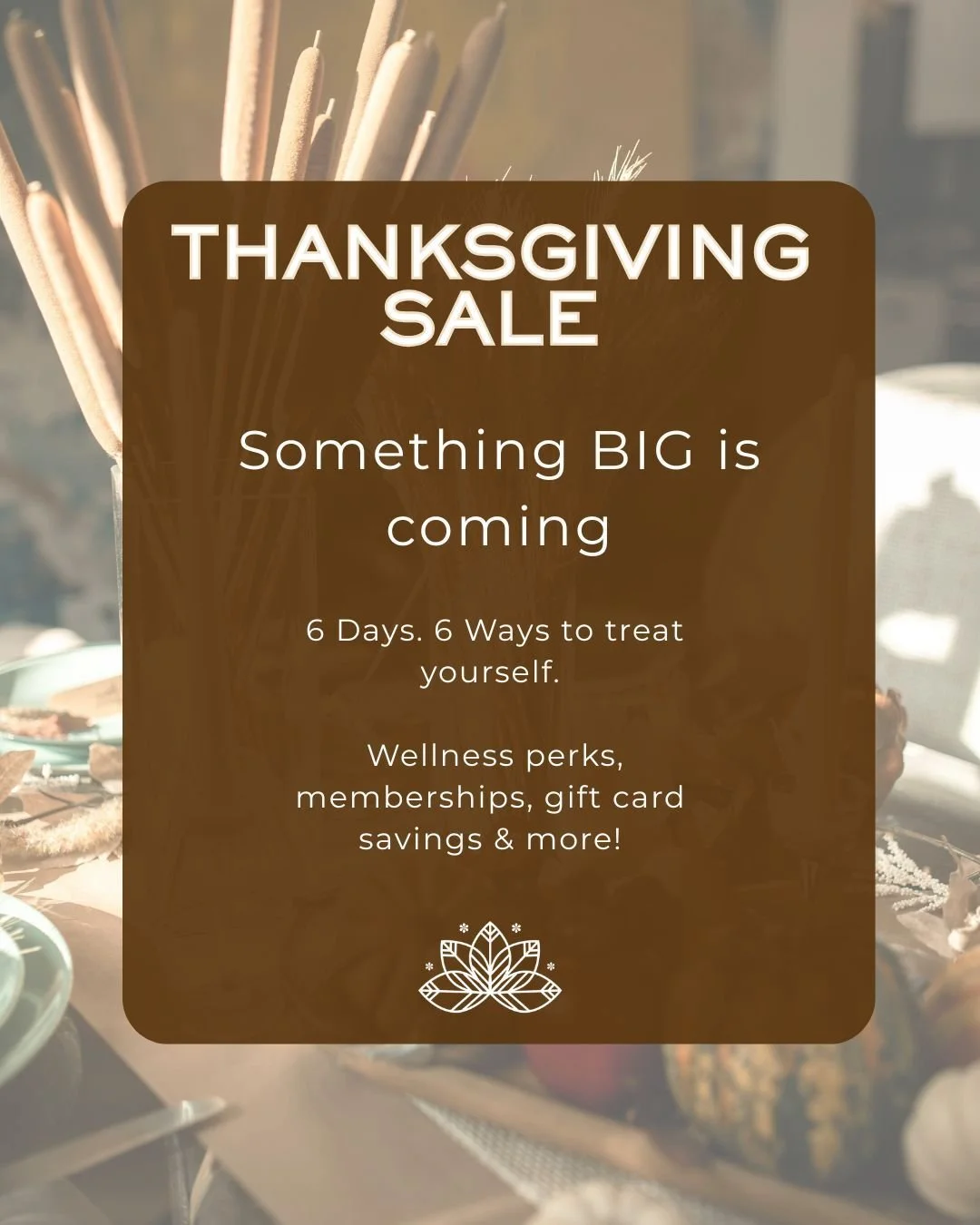 Starts Wednesday, 11/26

Stay tuned for all the details - your holiday self-care just got a major upgrade!