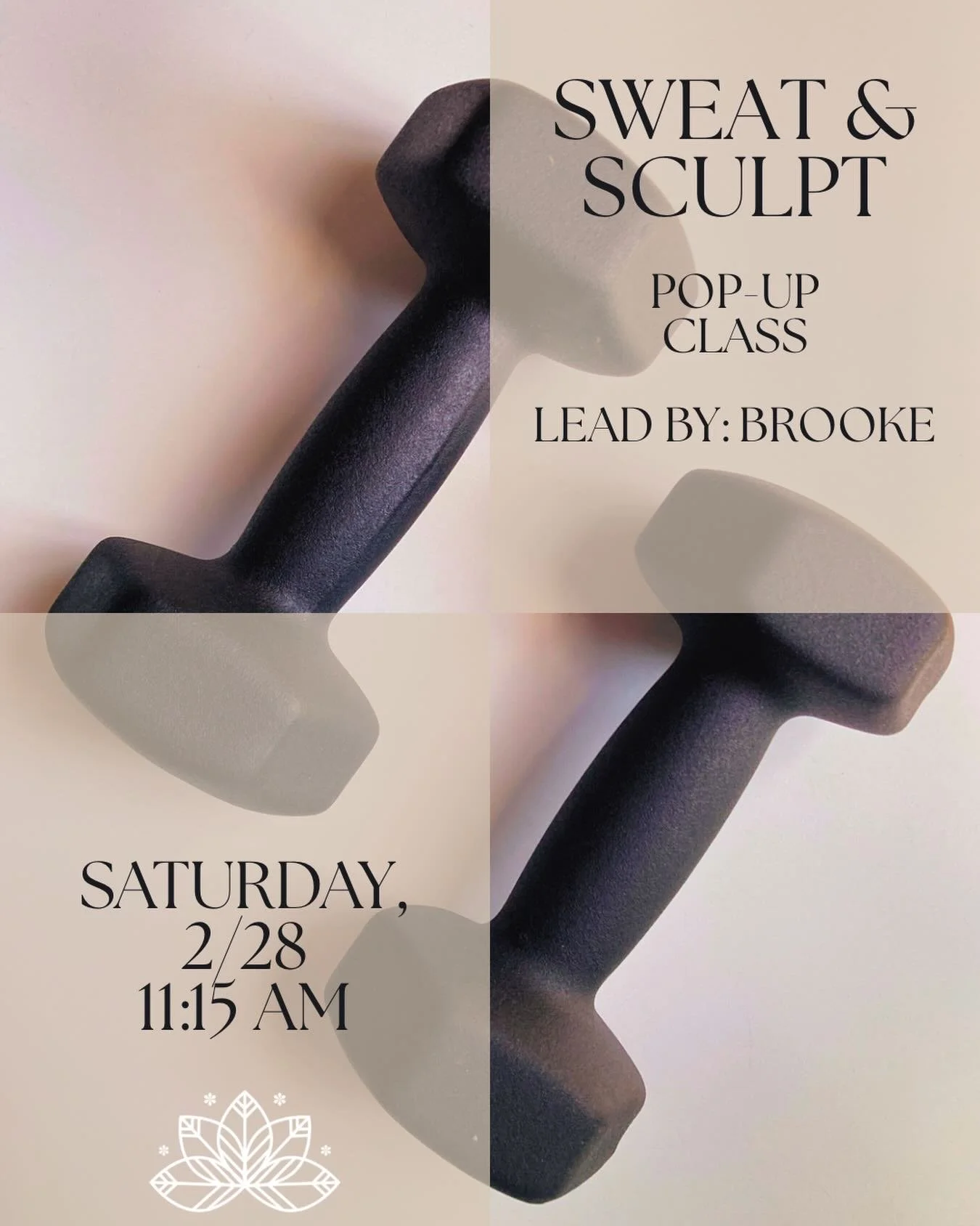 Sweat &amp; Flow is back!

Join Brooke this Saturday, 2/28 at 11:15 AM for a special Sweat &amp; Flow pop-up class!

Spots are limited &mdash; grab yours and bring a friend!