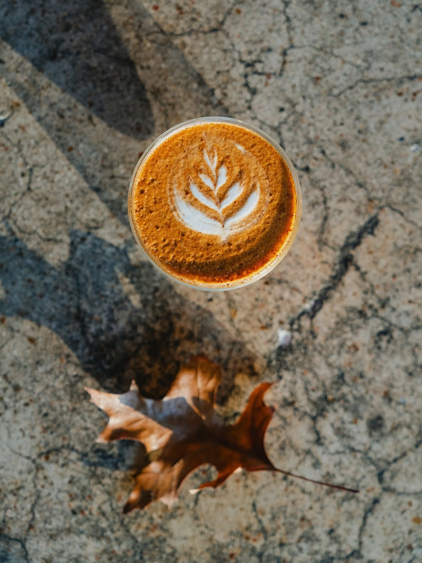 Happy Thanksgiving from the Collab team 🍁 We hope you have a great day filled with all your favorite things! 

Just a reminder, we are closed today. So you tomorrowwww ☕️

📸 @h.ninde