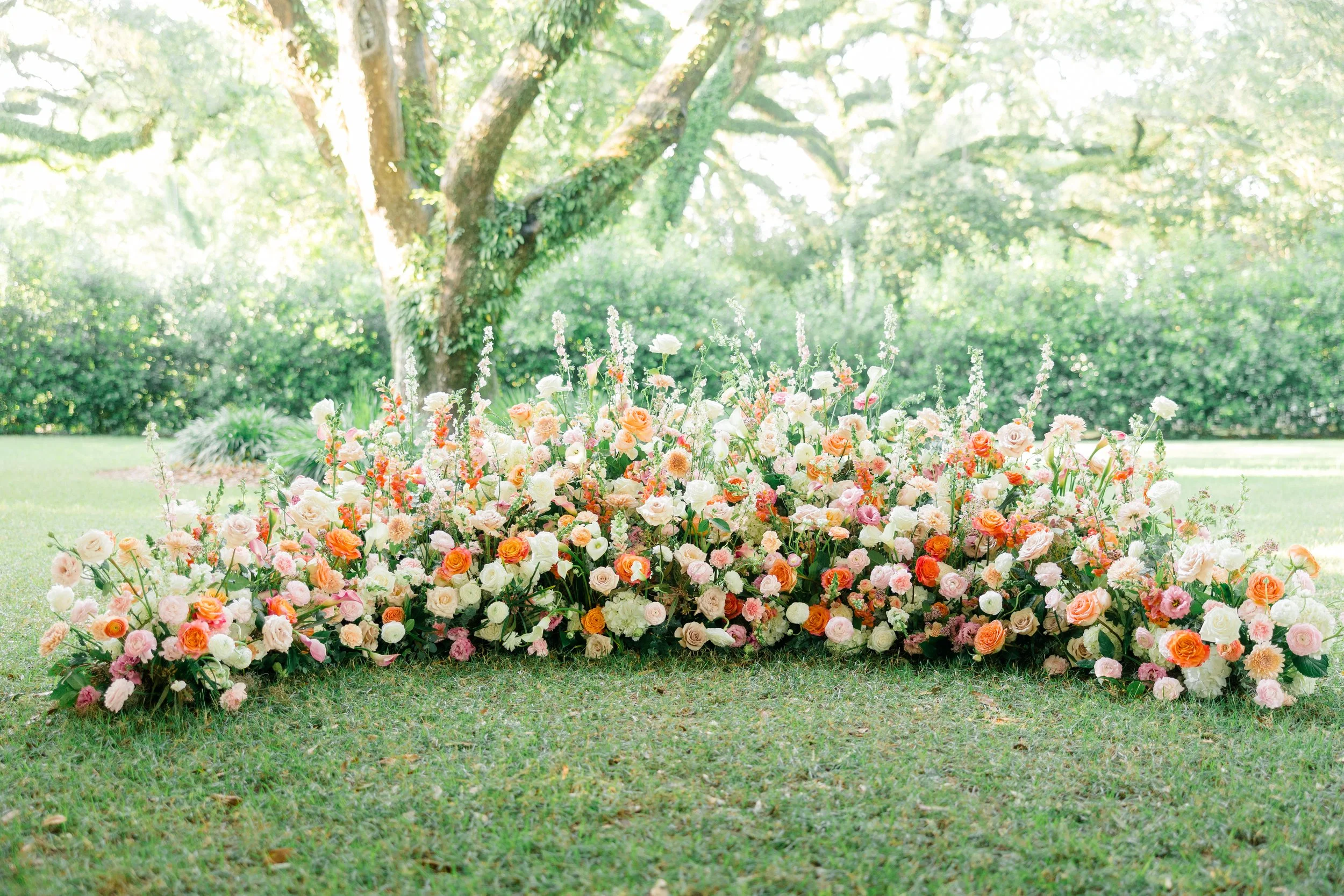 Copy of Copy of 0192-Jennie-Tewell-Photography-AY8A6478.jpg