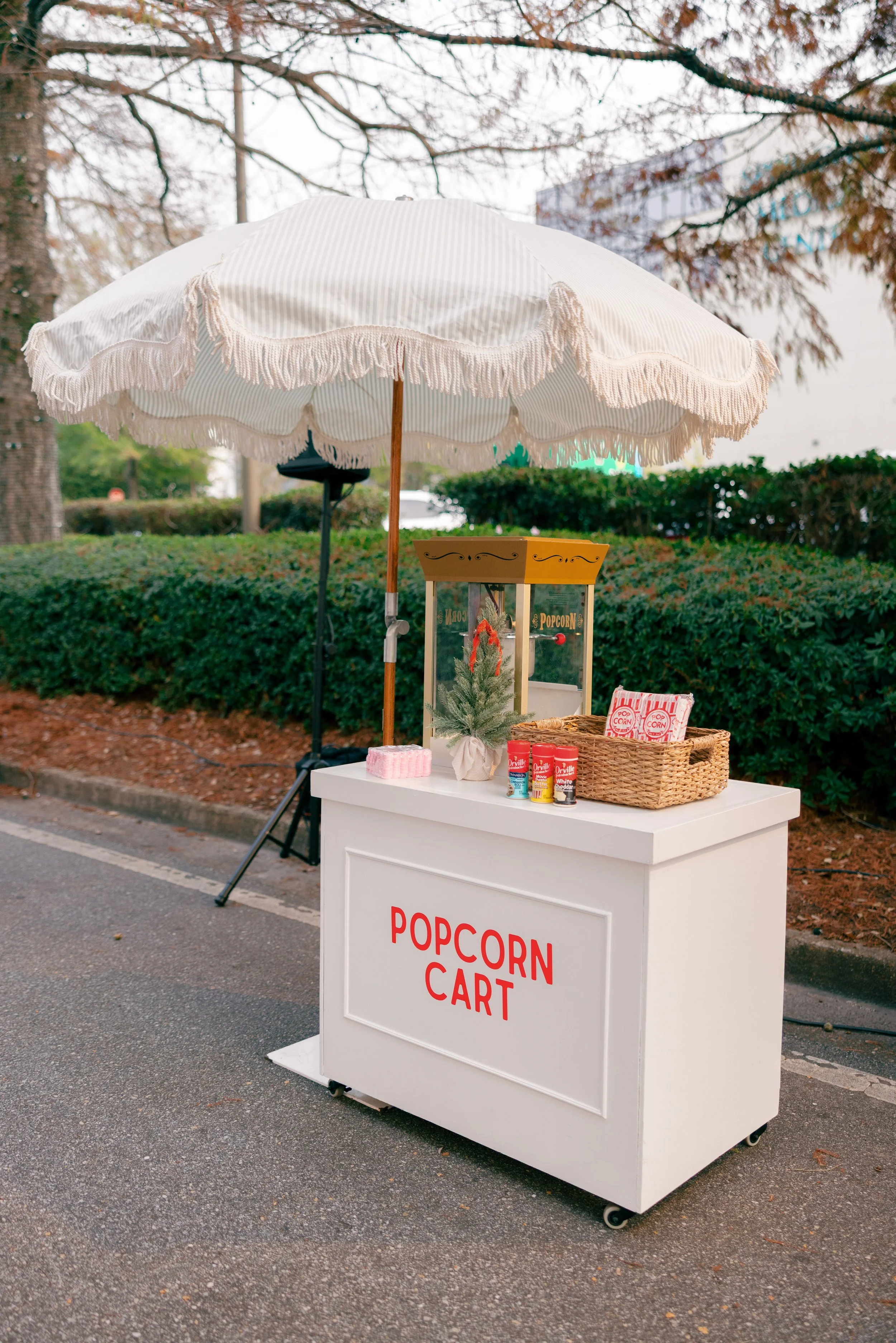 Copy of Studio08Events_pvcobia-19.jpg