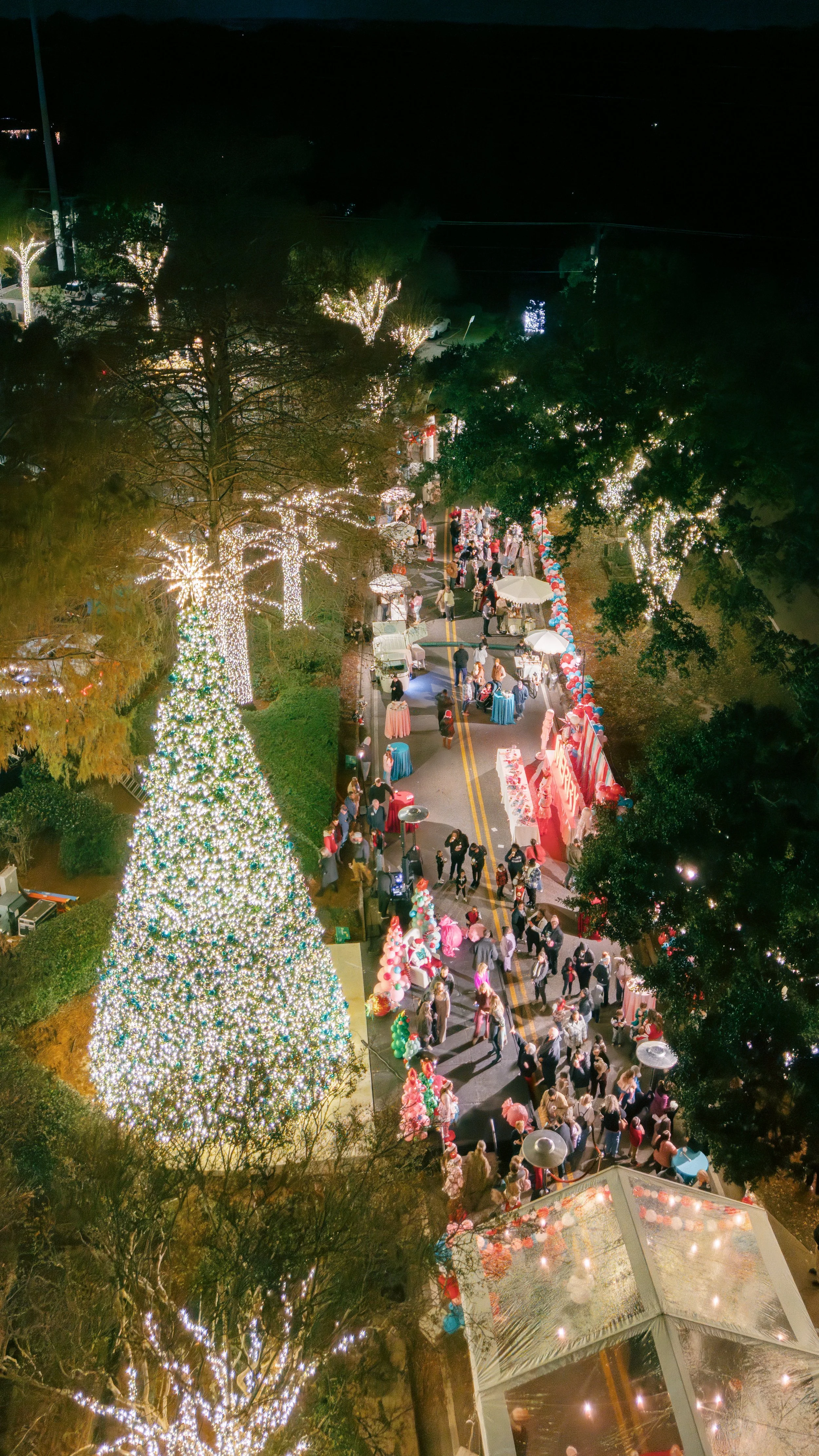 Copy of Studio08Events_pvcobia-103.jpg