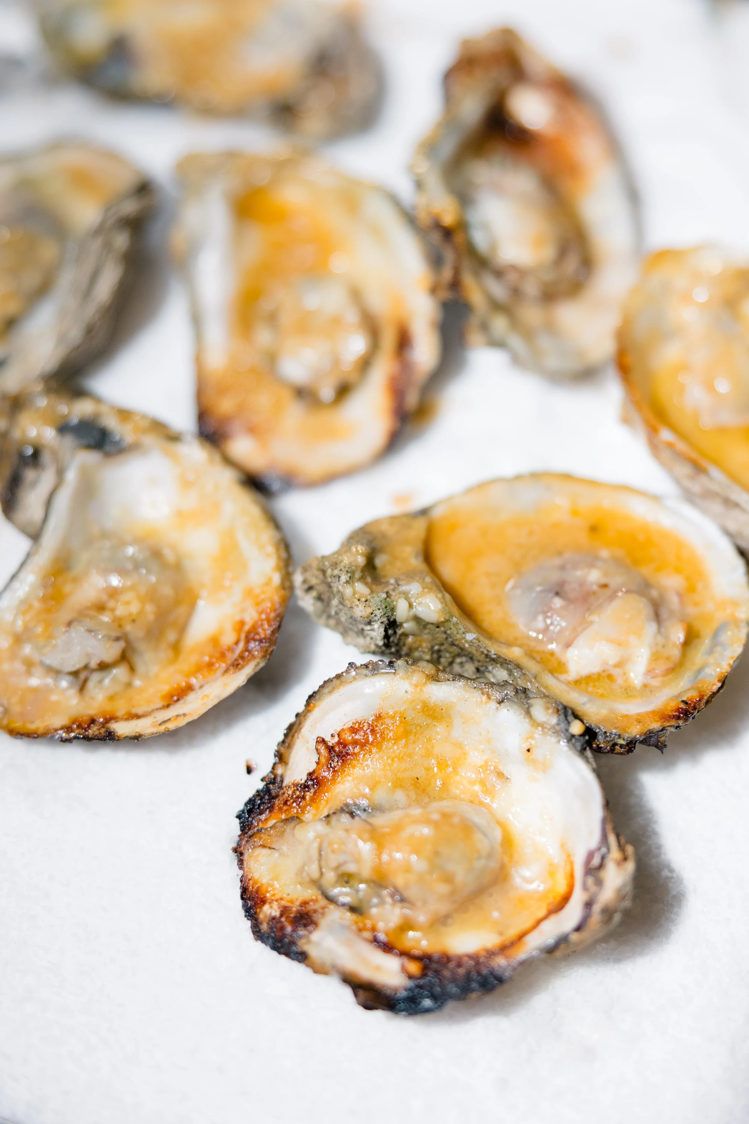 Copy of 0876-Jennie-Tewell-Photography-AY8A2960.jpg