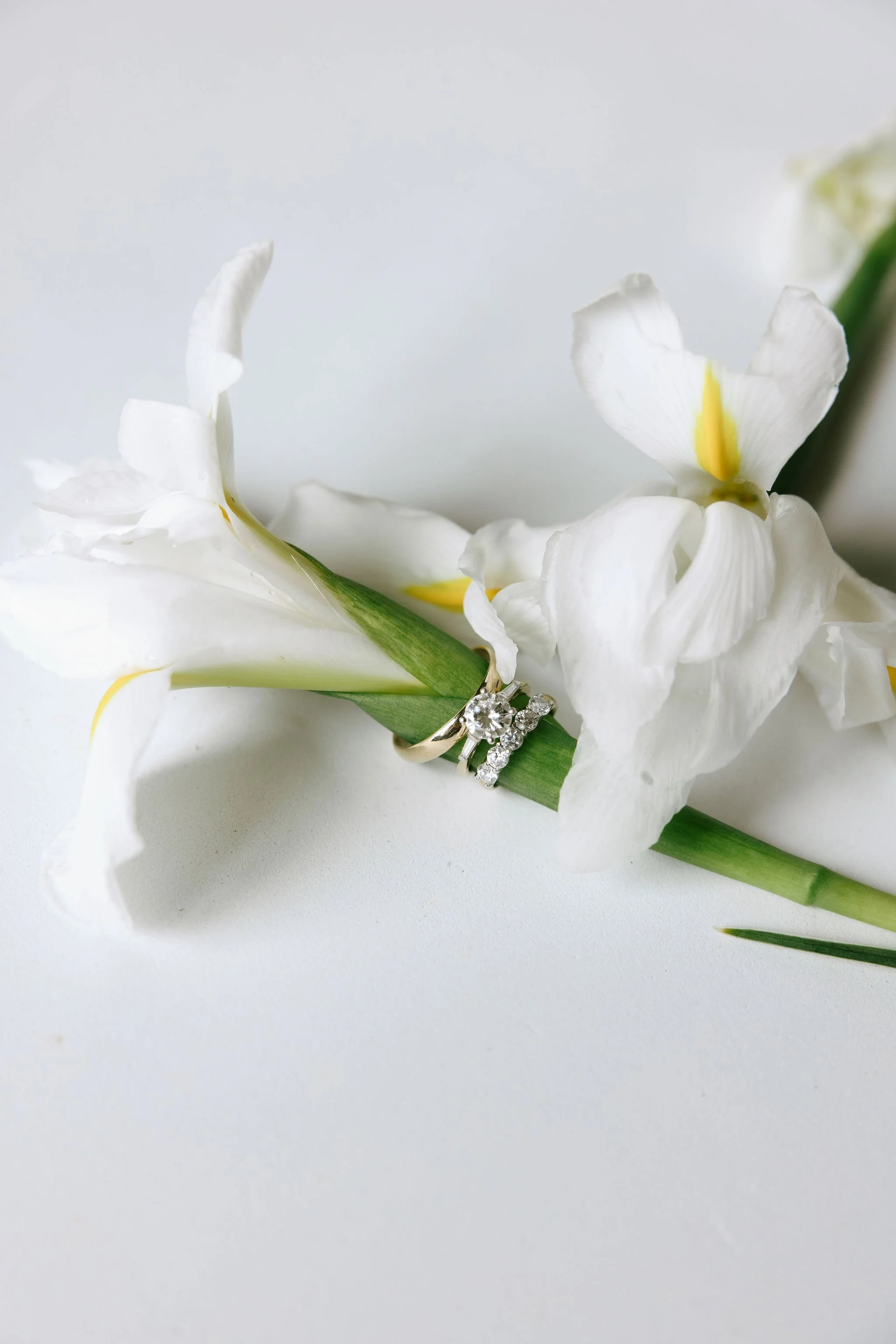 Copy of COURTNEYMARIEXPHOTO-9253.jpg