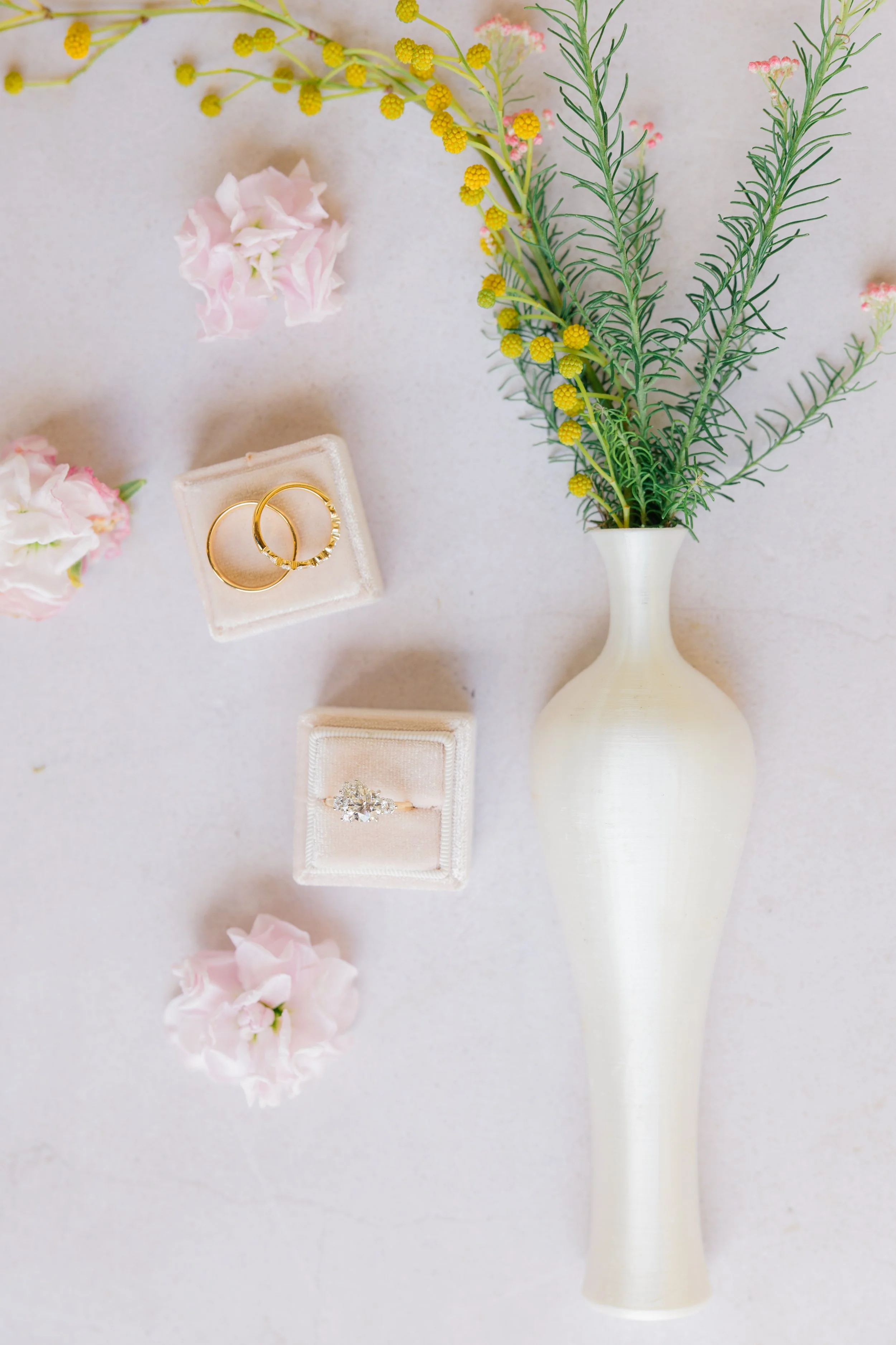 Copy of 0025-Jennie-Tewell-Photography-AY8A7326.jpg