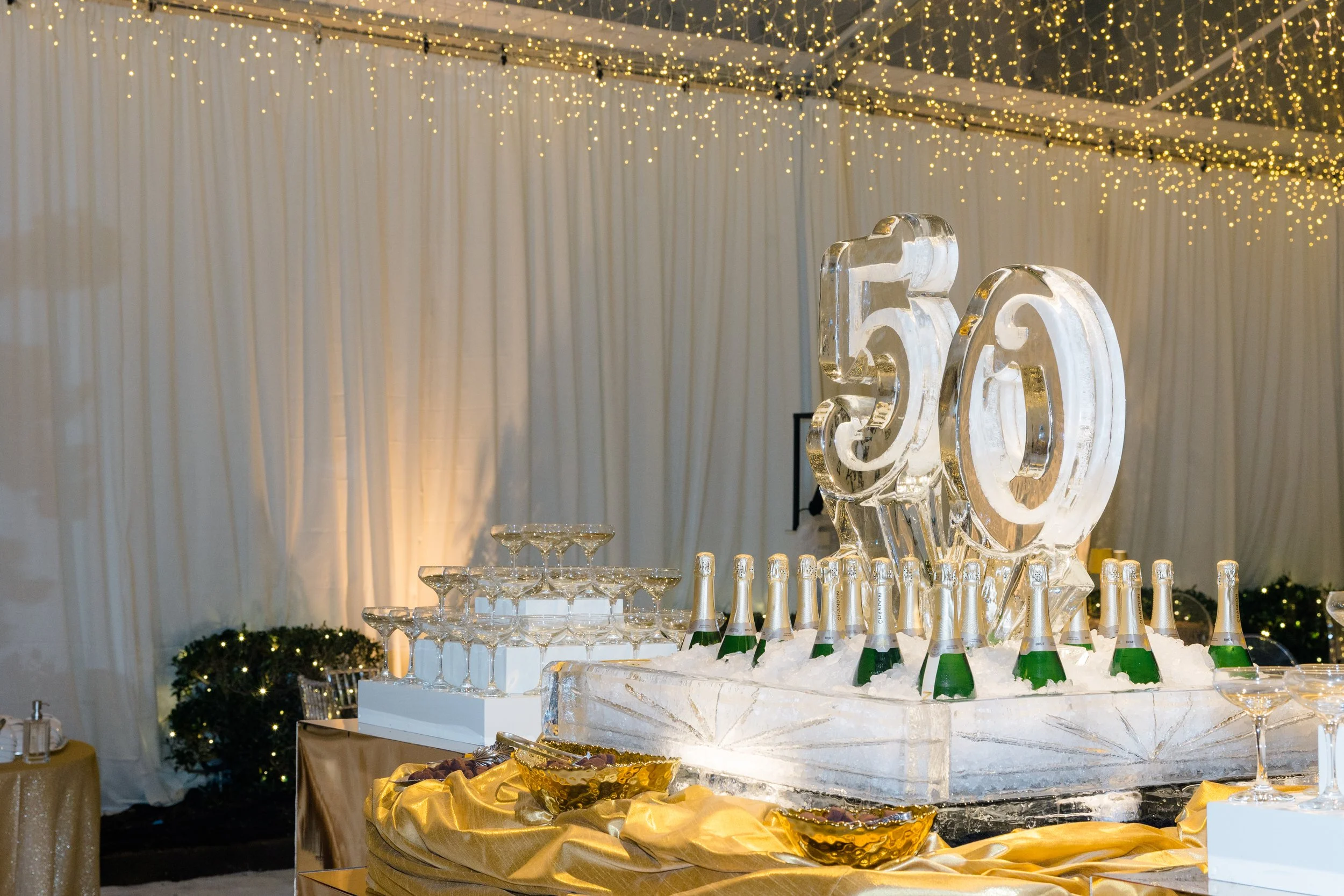 Copy of 0300-Jennie-Tewell-Photography-AY8A9702.jpg