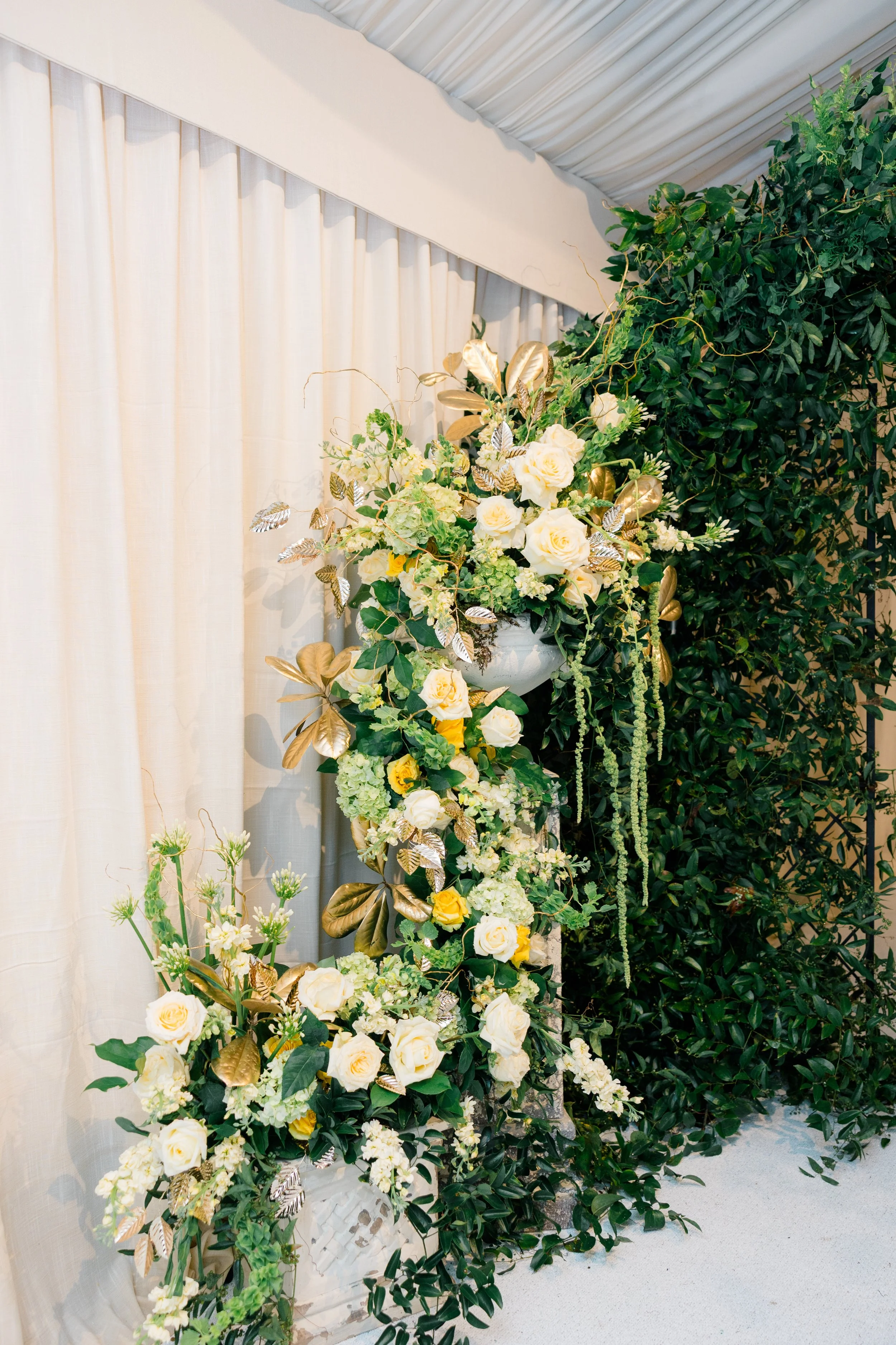 Copy of 0131-Jennie-Tewell-Photography-9A2A4151.jpg