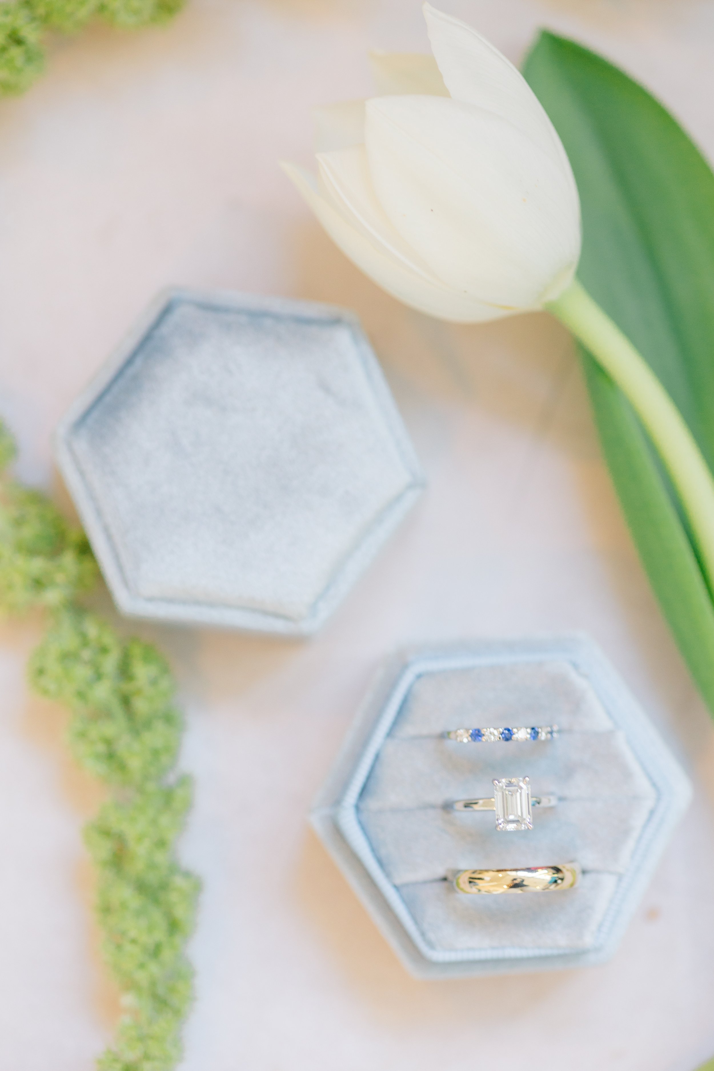 Copy of 0073-Jennie-Tewell-Photography-AY8A0679.jpg