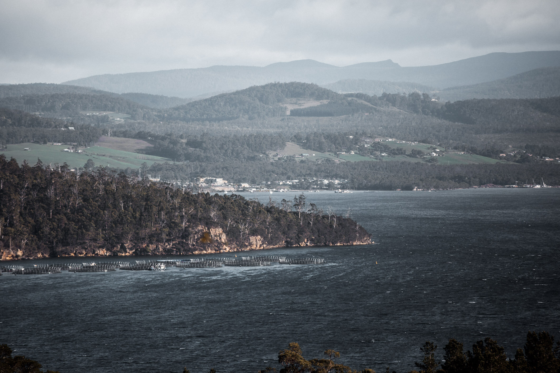 Bruny photos (Web) (7 of 118).jpg