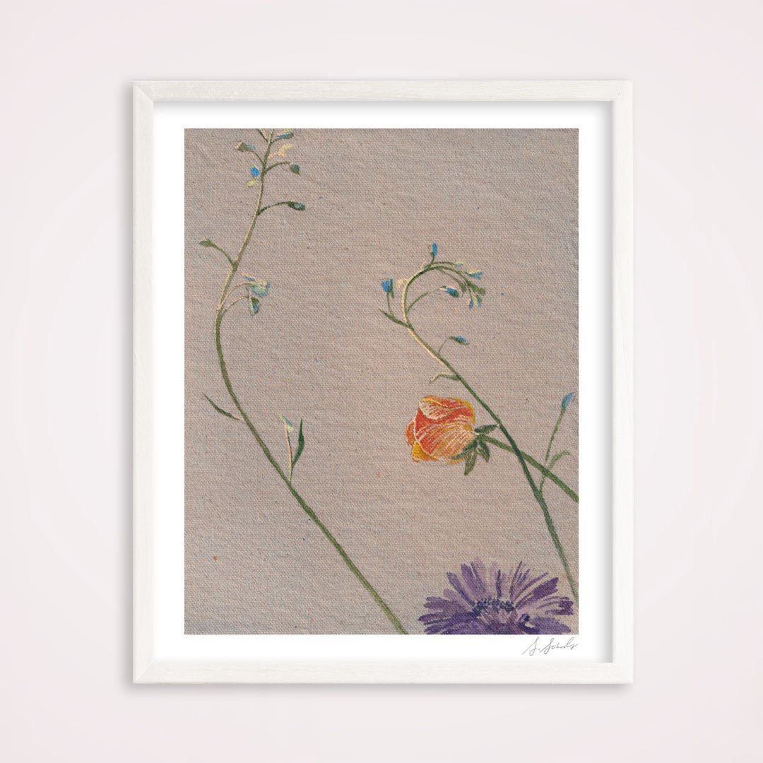 Delphinium-Sprouts-WEB.jpg