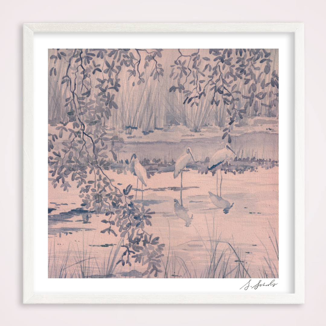 Wood-Storks-WEB.png