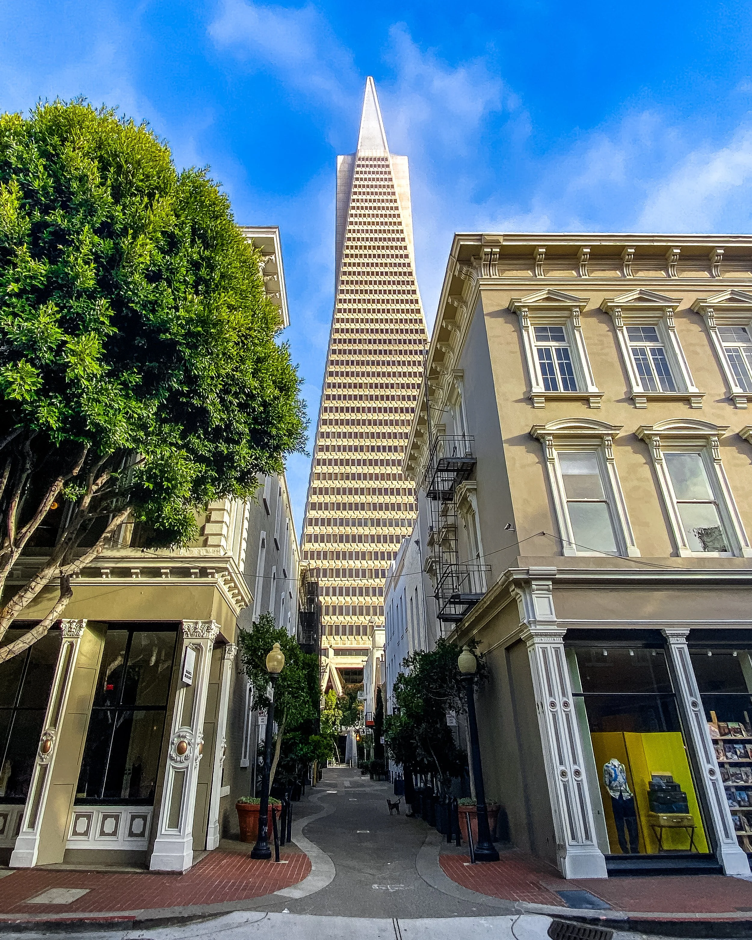 SF_5.jpg