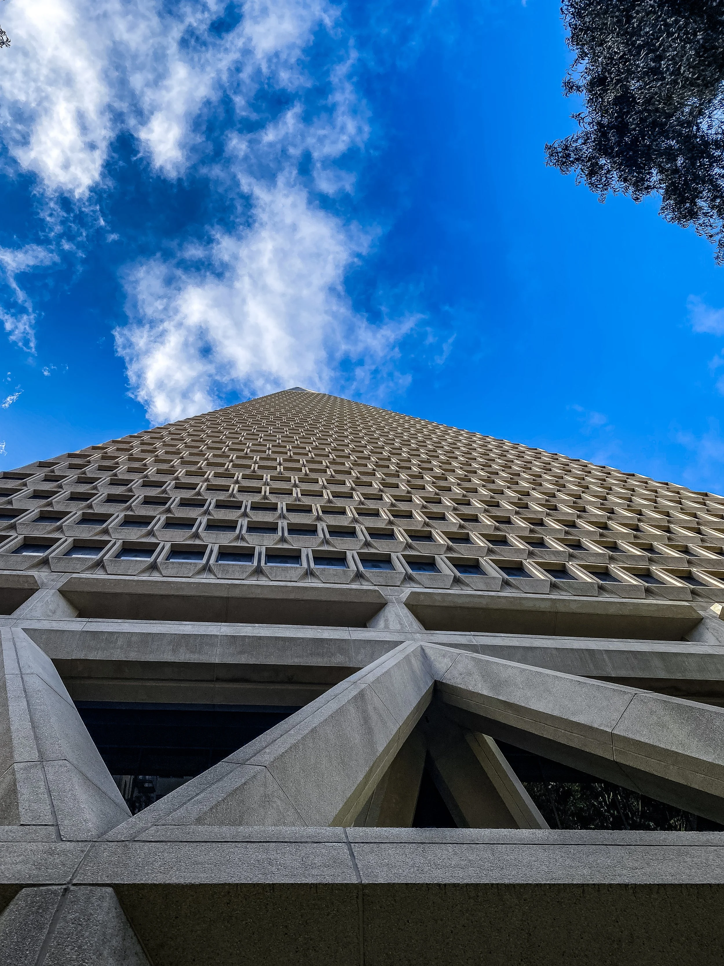 SF_3.jpg