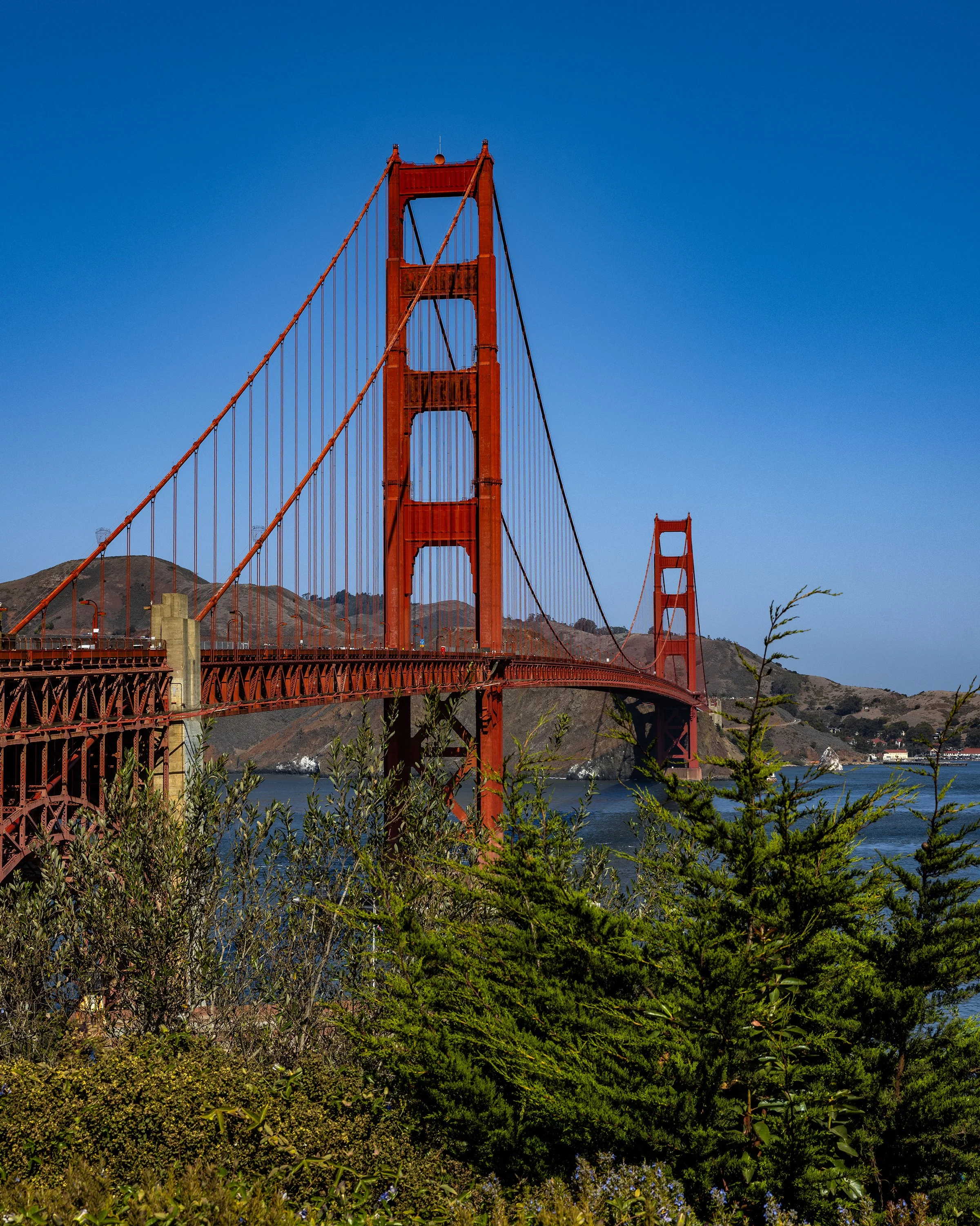 SF_Fleet_Week_7_8x10.jpg