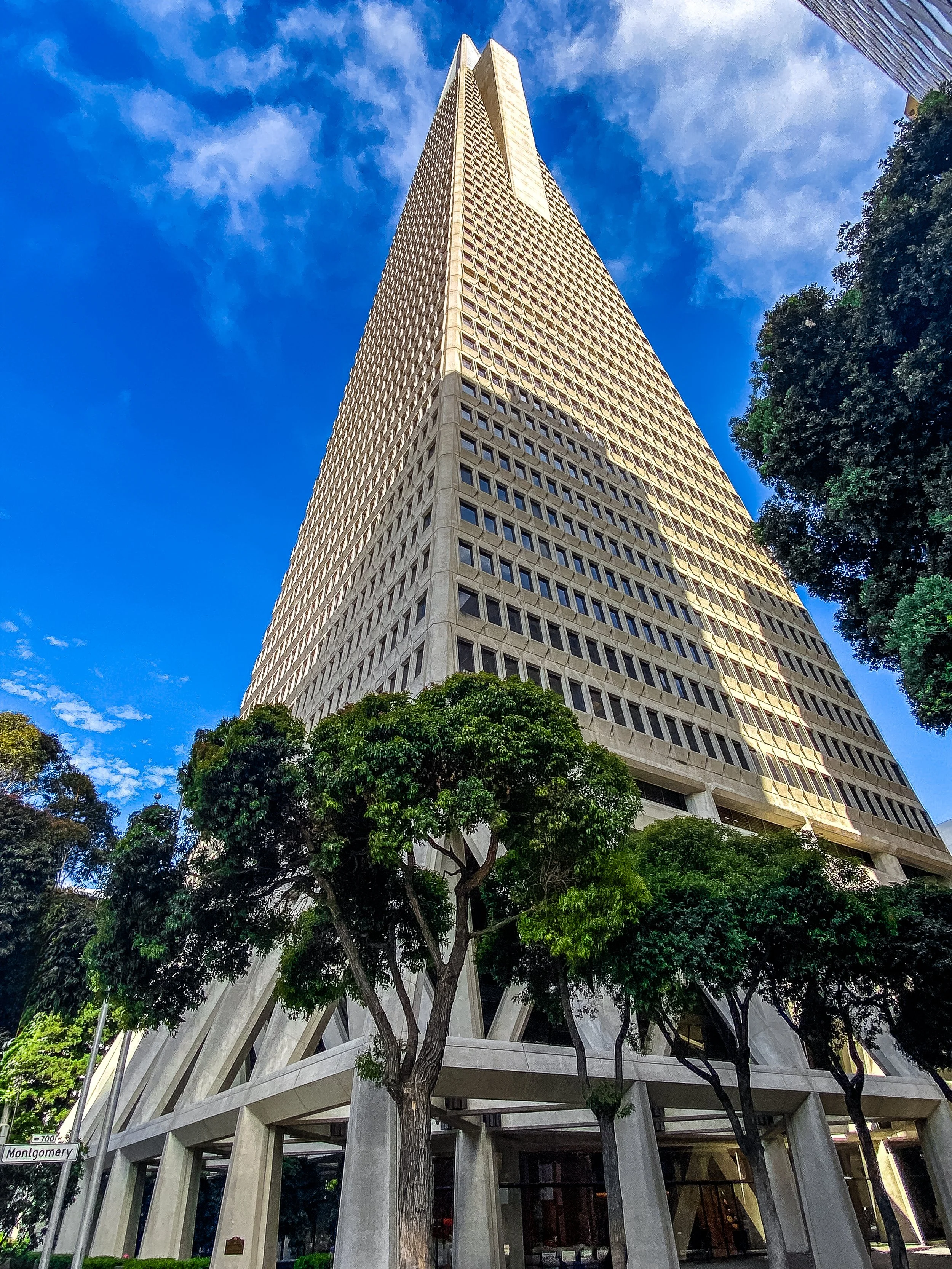 SF_4.jpg
