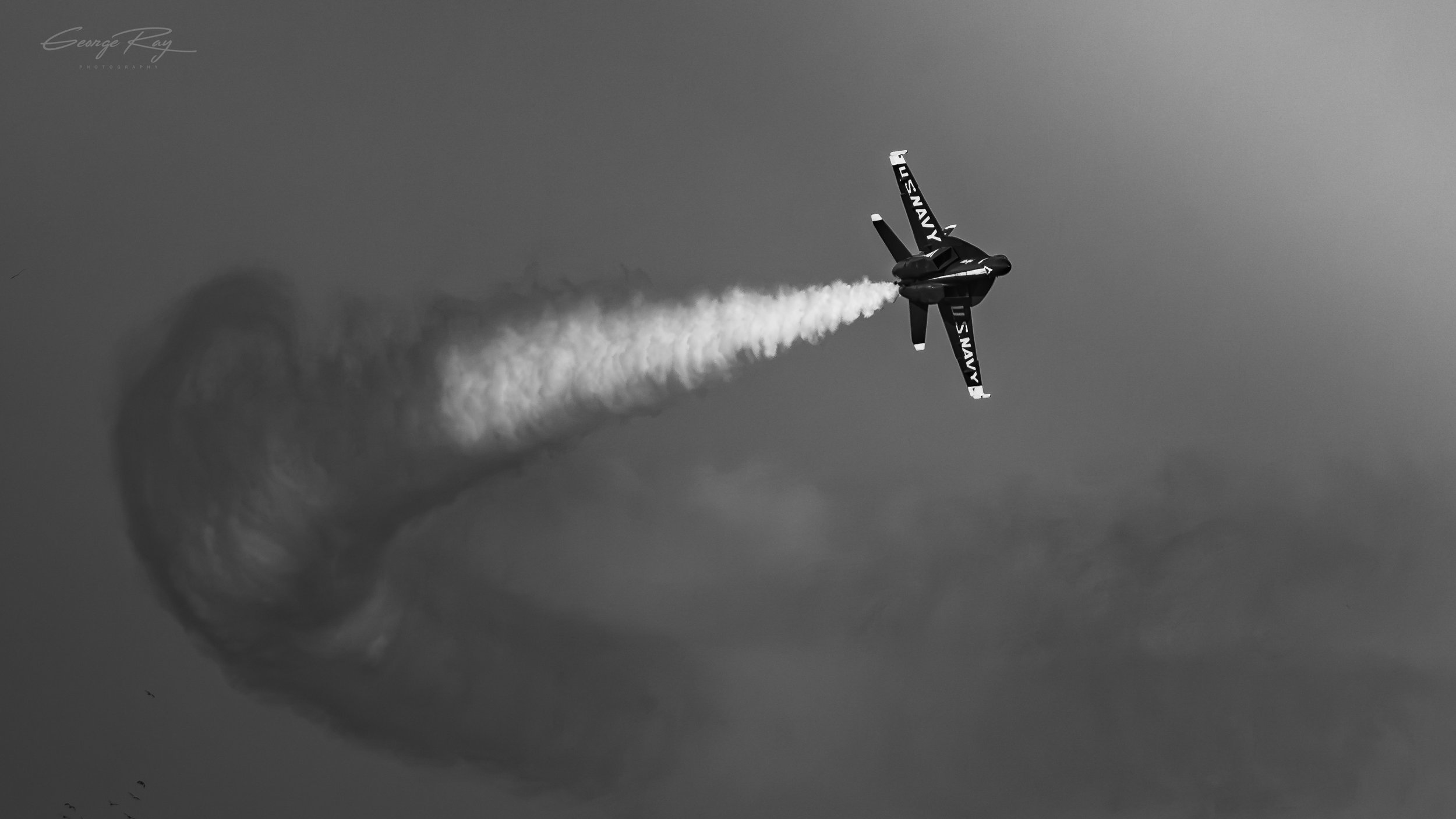SanFrancisco_BlueAngel_BW_WM.jpg
