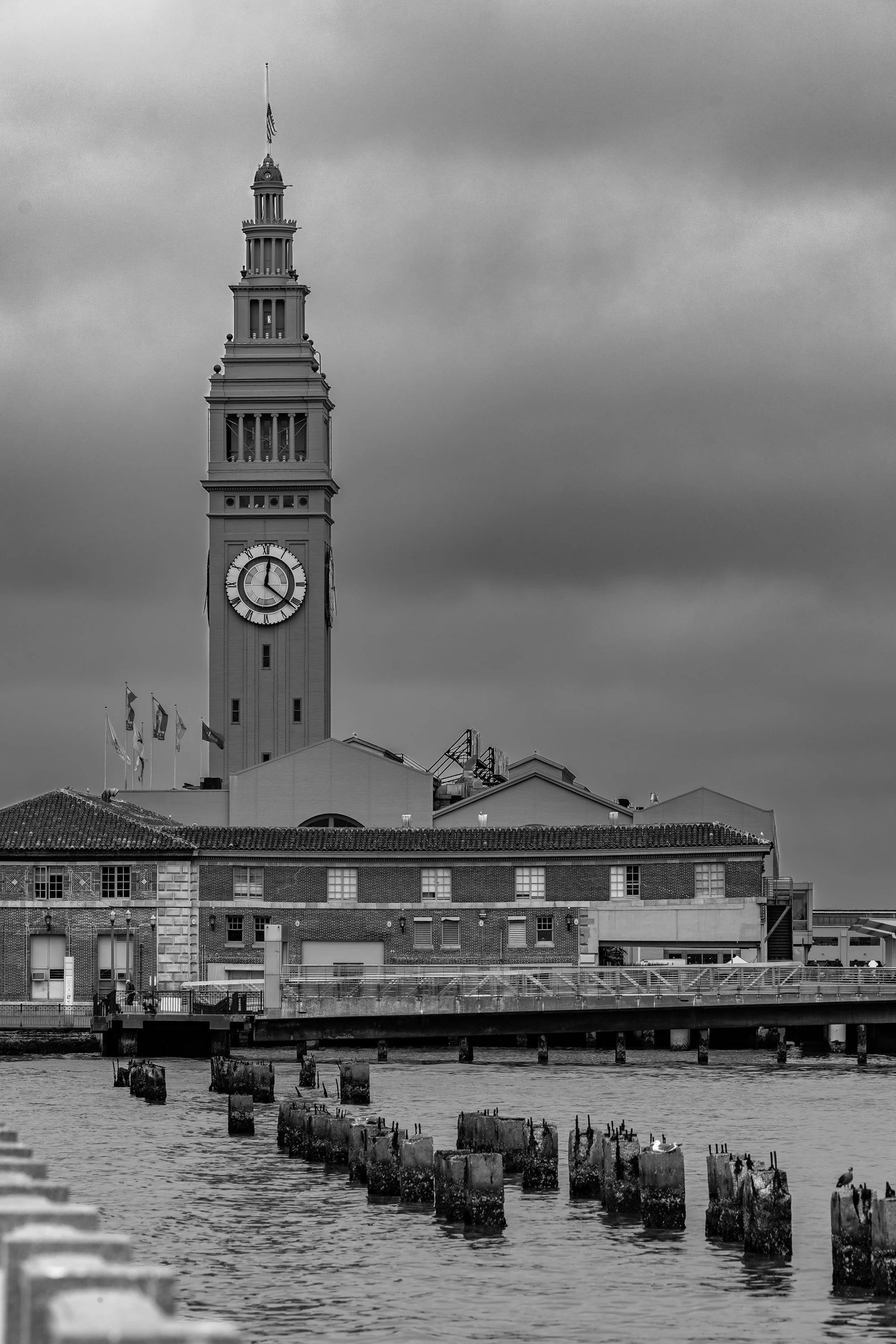 20250913-SF_Ferry_8x10_BW_IG.jpg