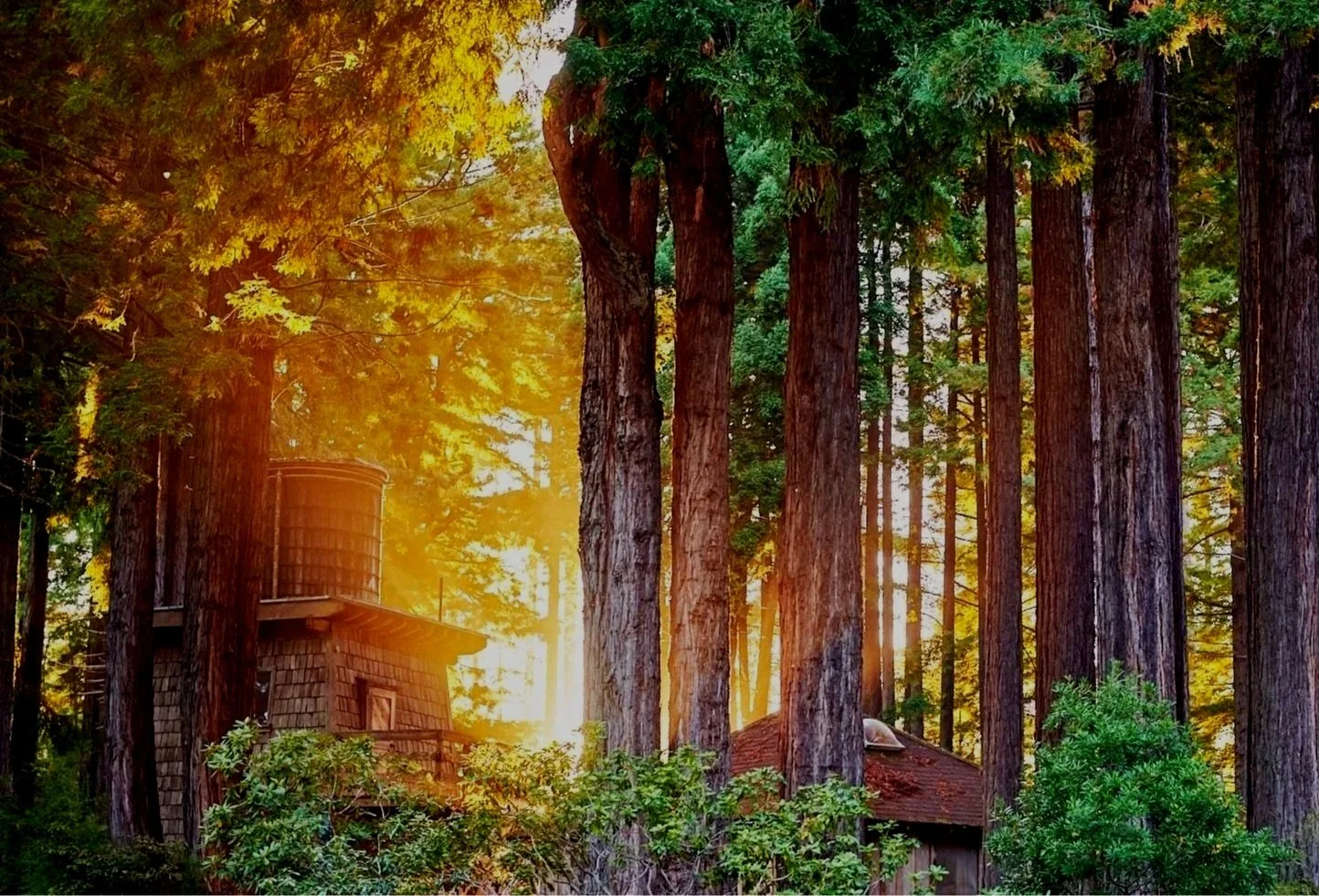 Spirit Camp Grounds - Magic Meadow 2.jpg