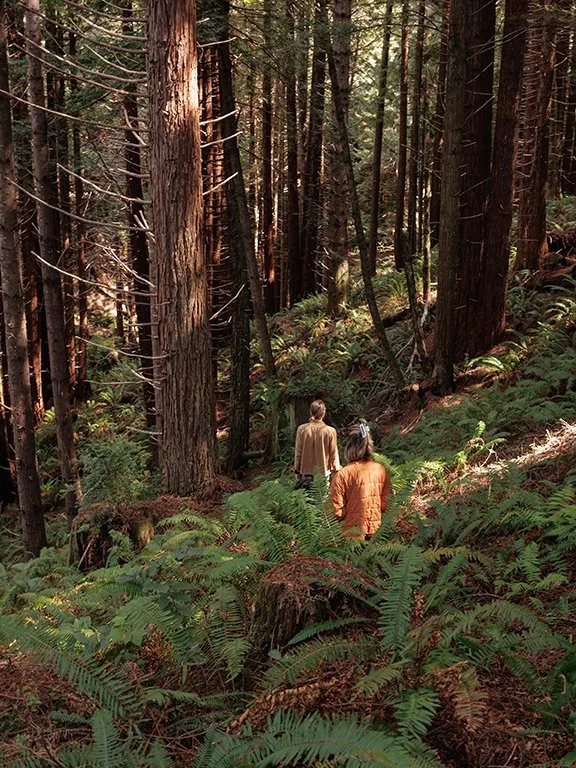 Spirit Camp Fern Gully Hike.jpg