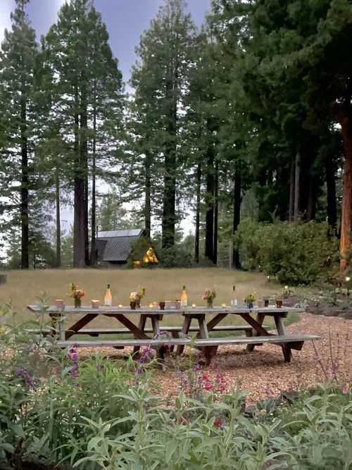 Spirit Camp Gardens 2.jpeg