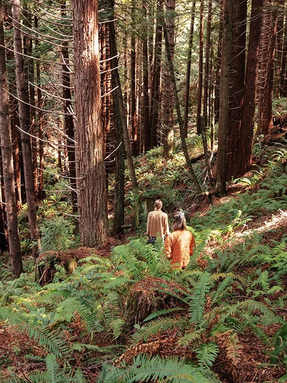 Spirit Camp Grounds - Fern Gully Hike 1.jpg