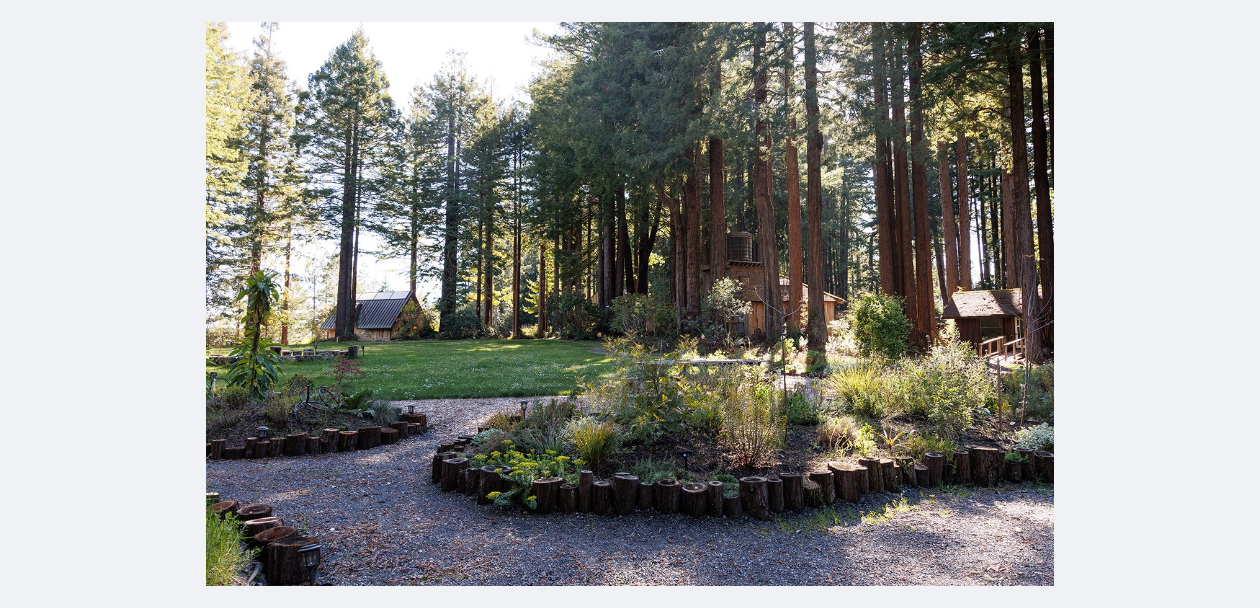 blog image 32.png