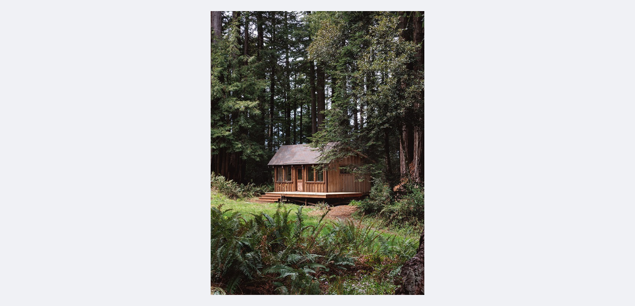 blog image 31.png