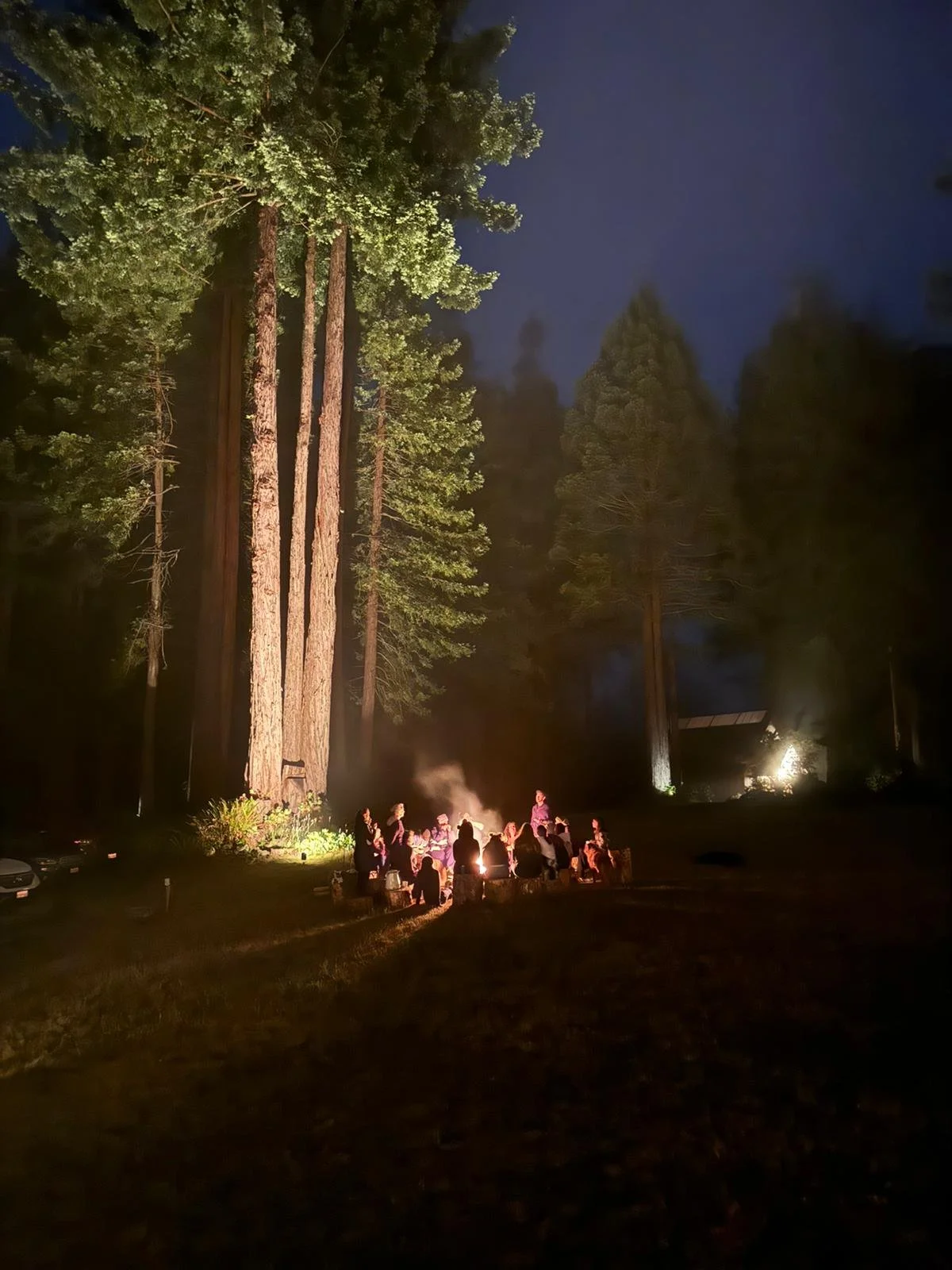 c513be1e-4d1b-49bd-b301-fb4e10bc8360 - Peter Walters.jpg