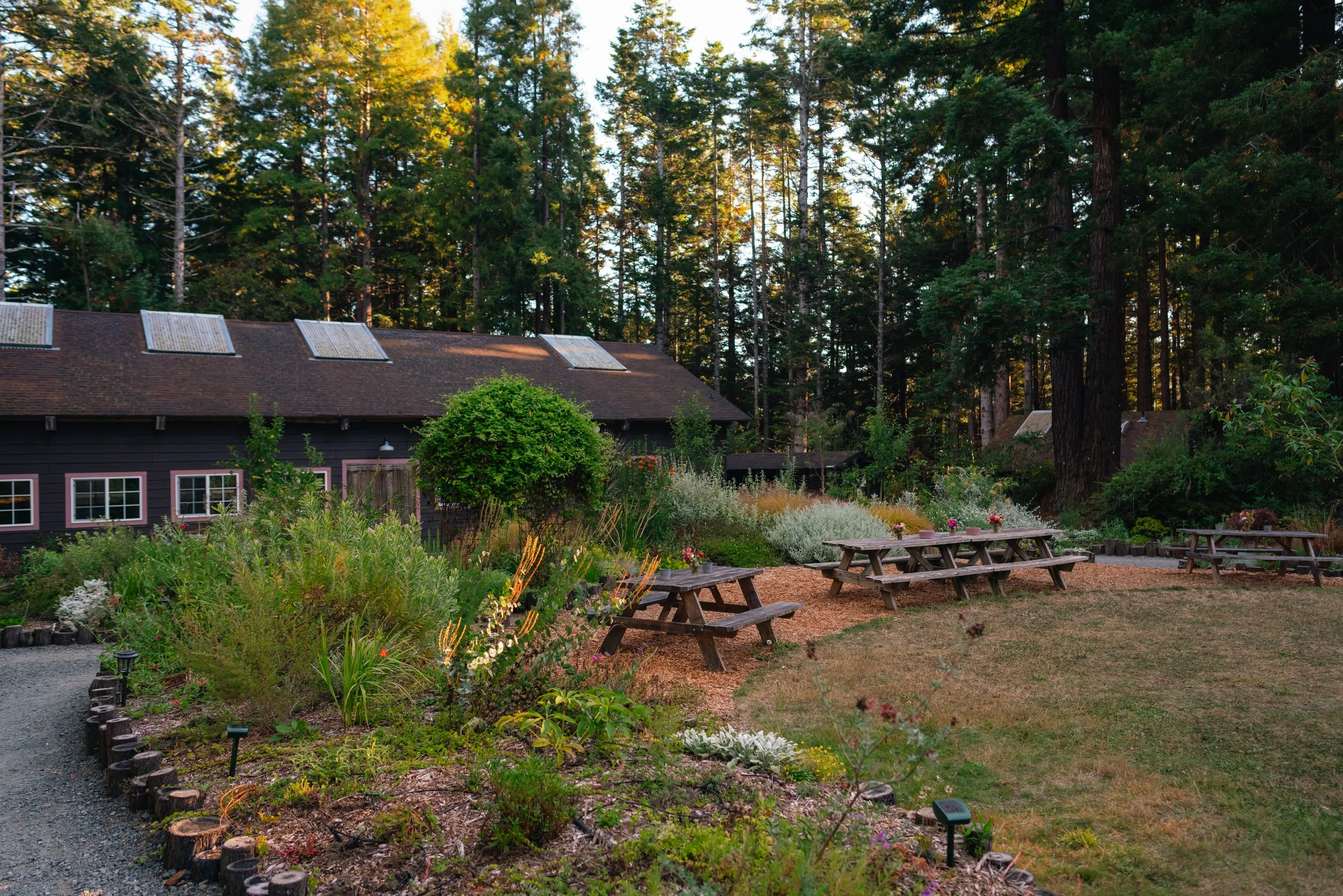 spirit_camp_september_2024_nik_z_photo-133.jpg