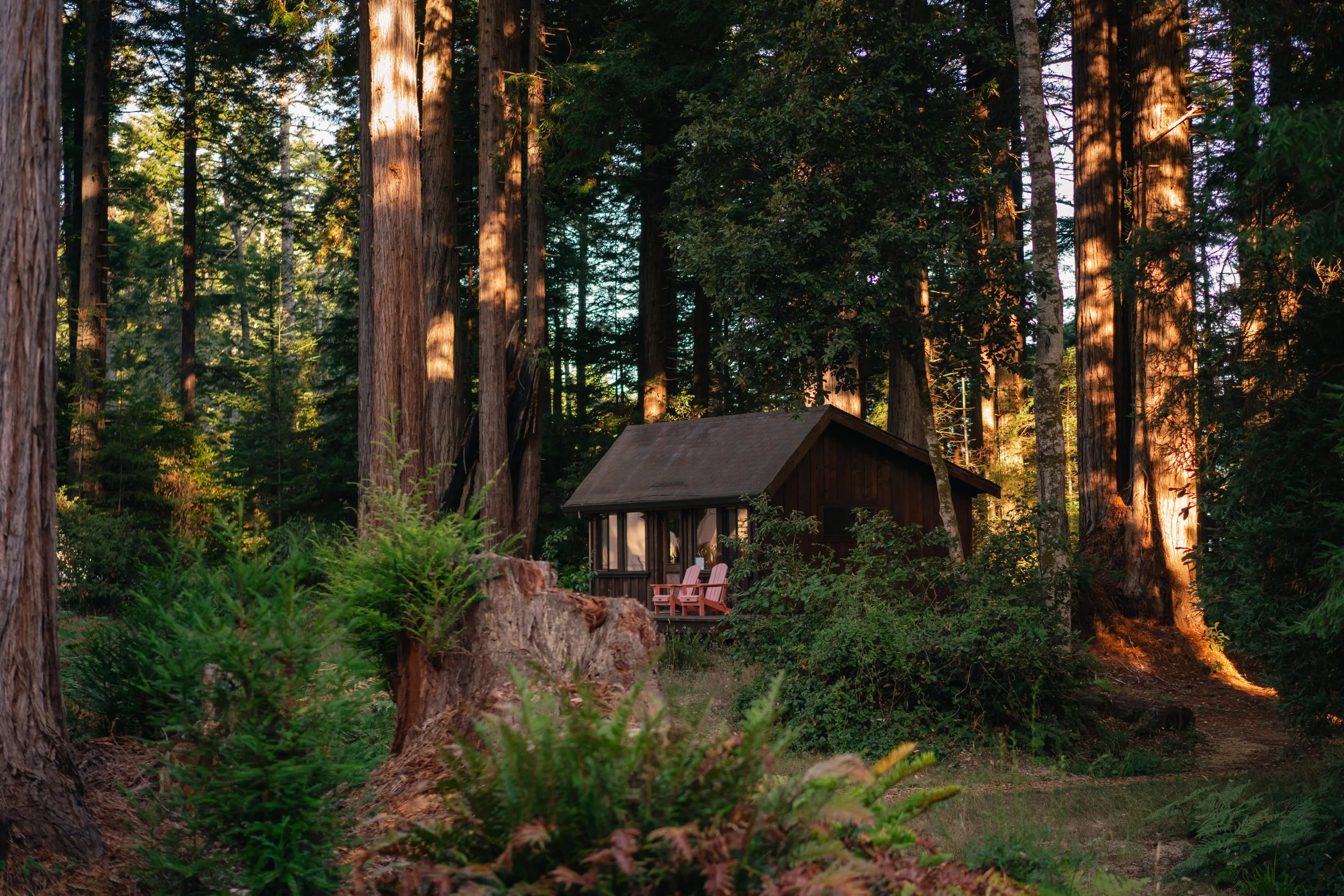 spirit_camp_september_2024_nik_z_photo-135.jpg