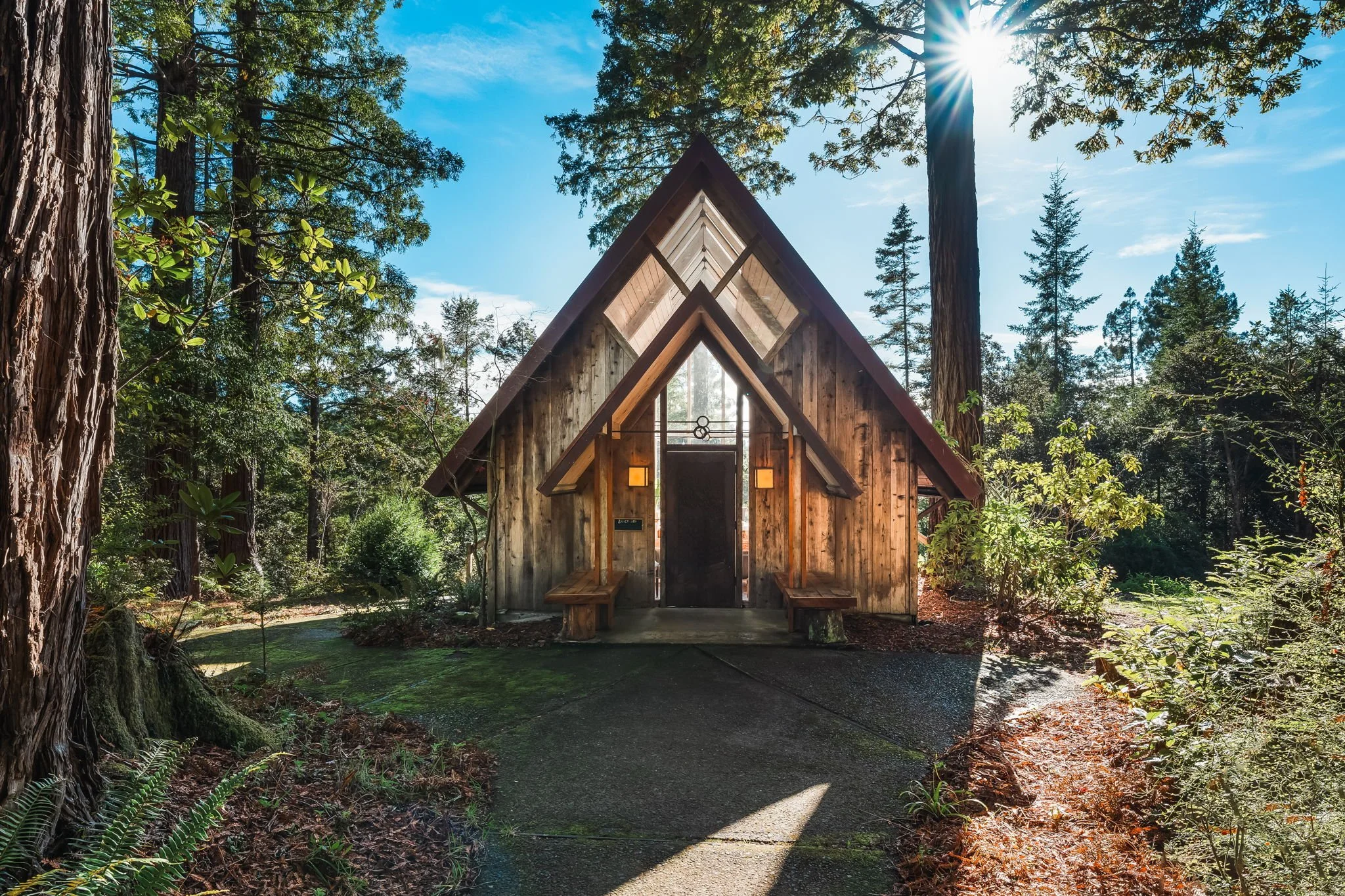 Redwood Womb Women’s Retreat