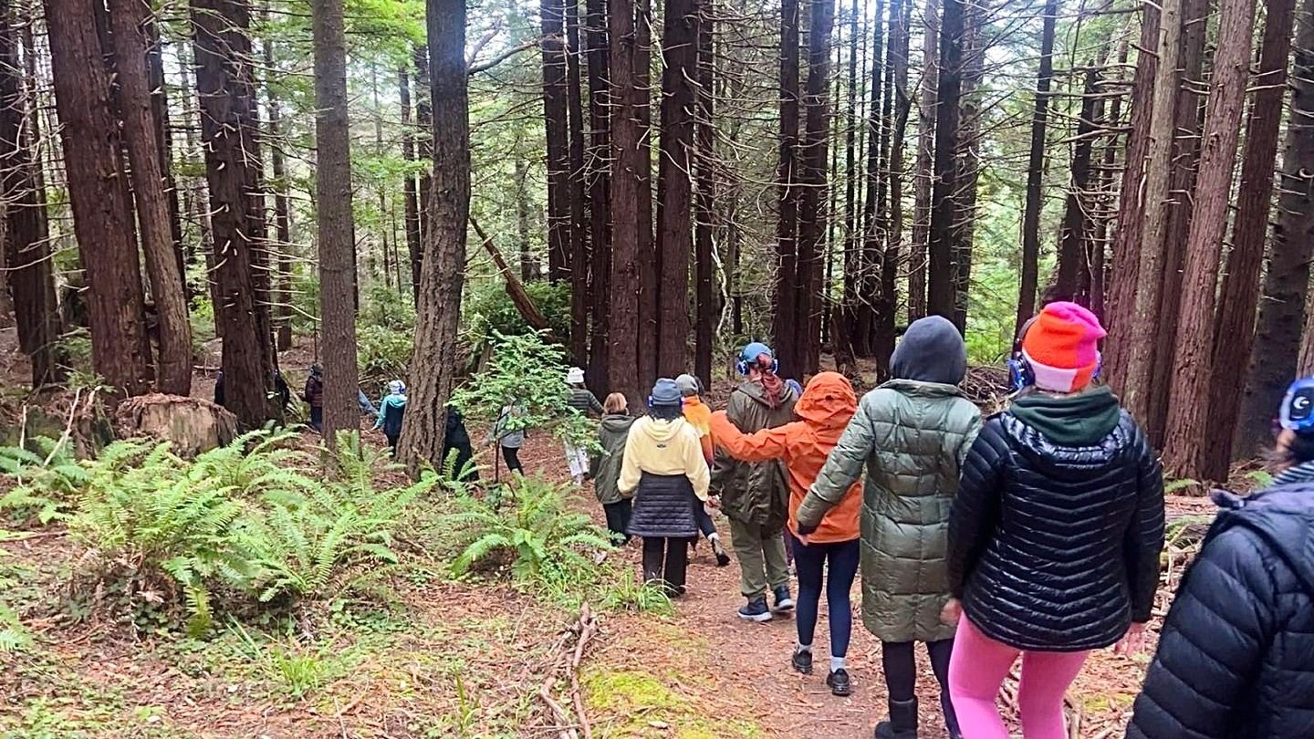 81777459-ae95-487d-b80e-bf81759aecf2 - Kirin Power.jpg