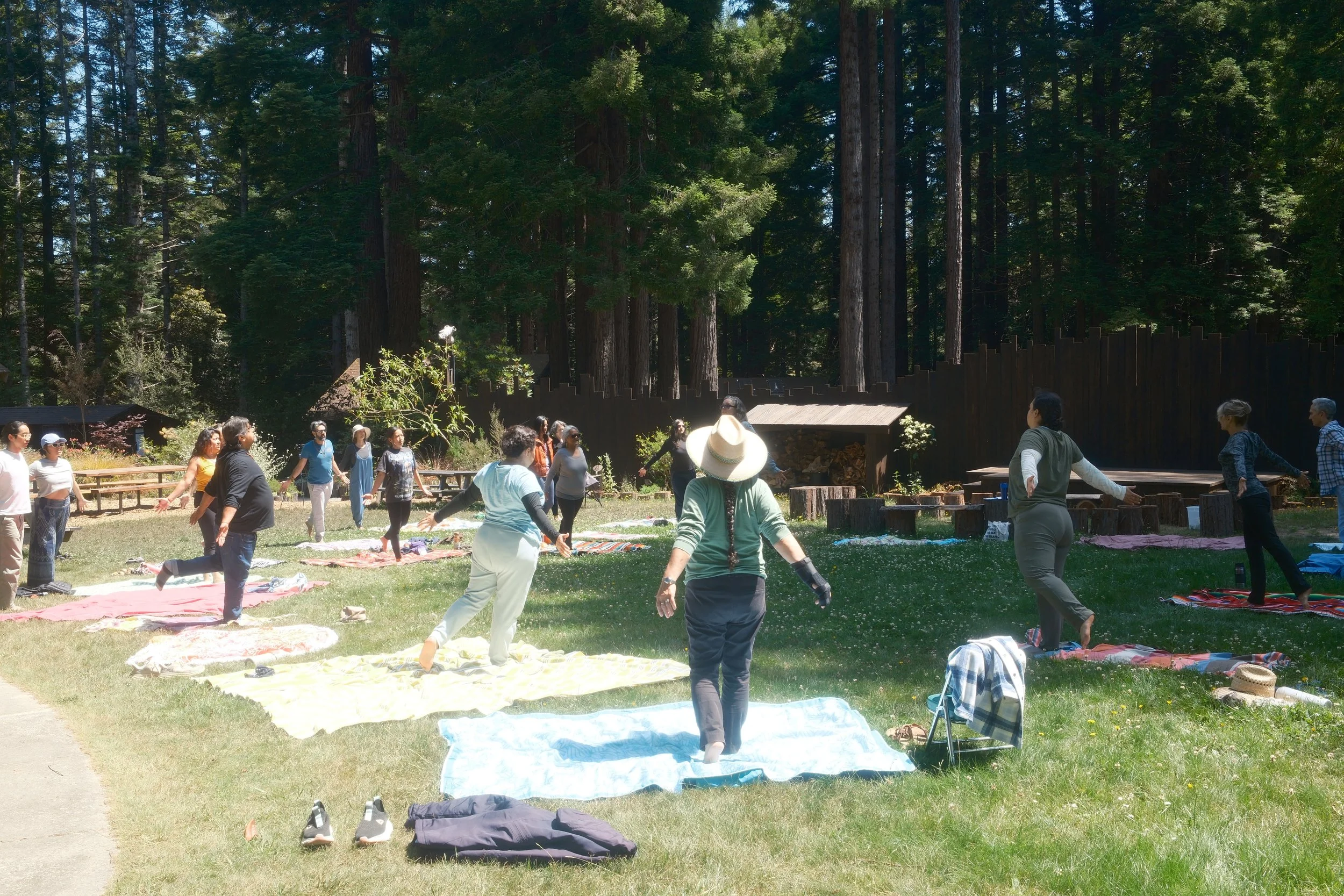 DSCF2324 - Braided Wisdom.JPG