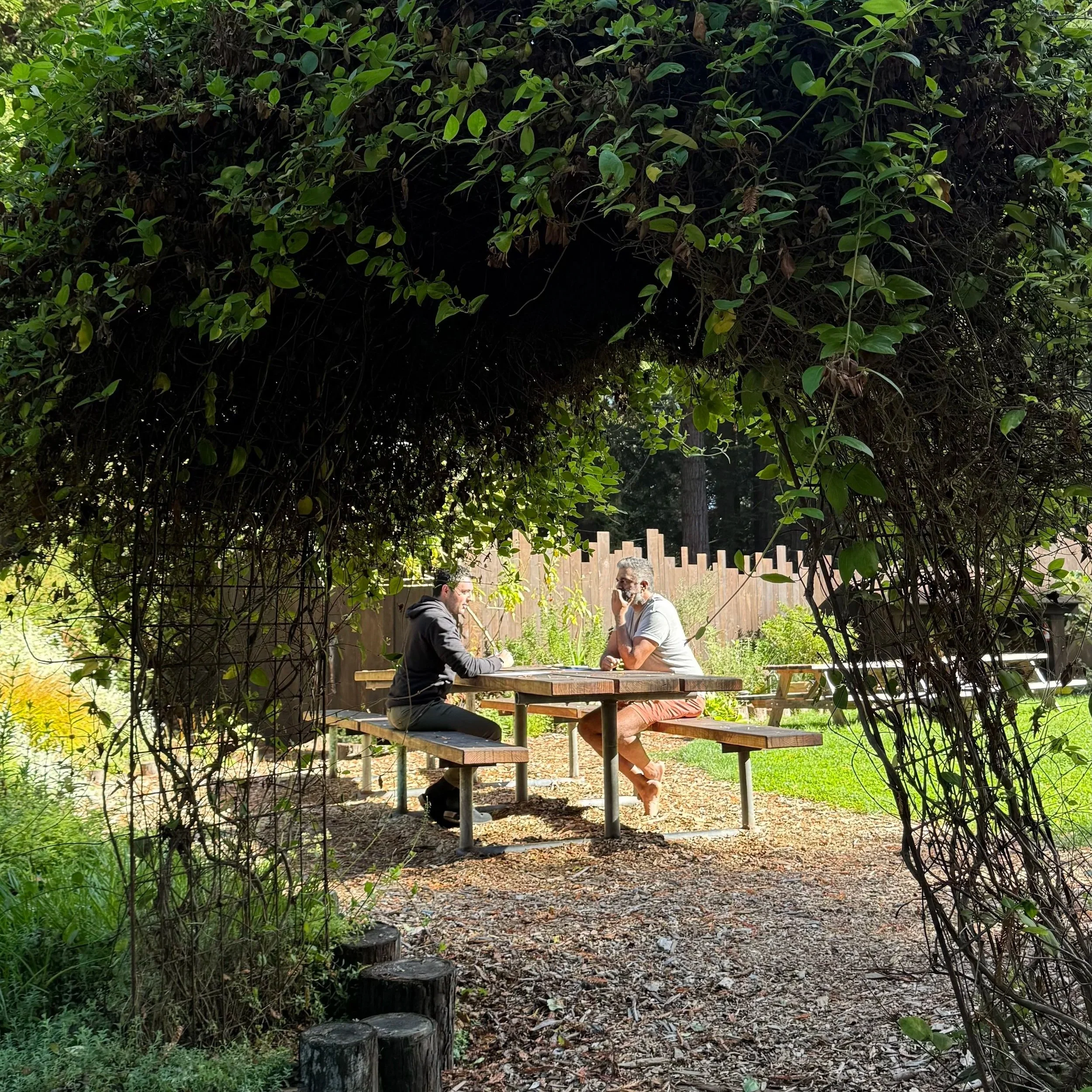 A Gay Men's Retreat in the Redwoods of Northern California That Goes Way Beyond the Weekend
