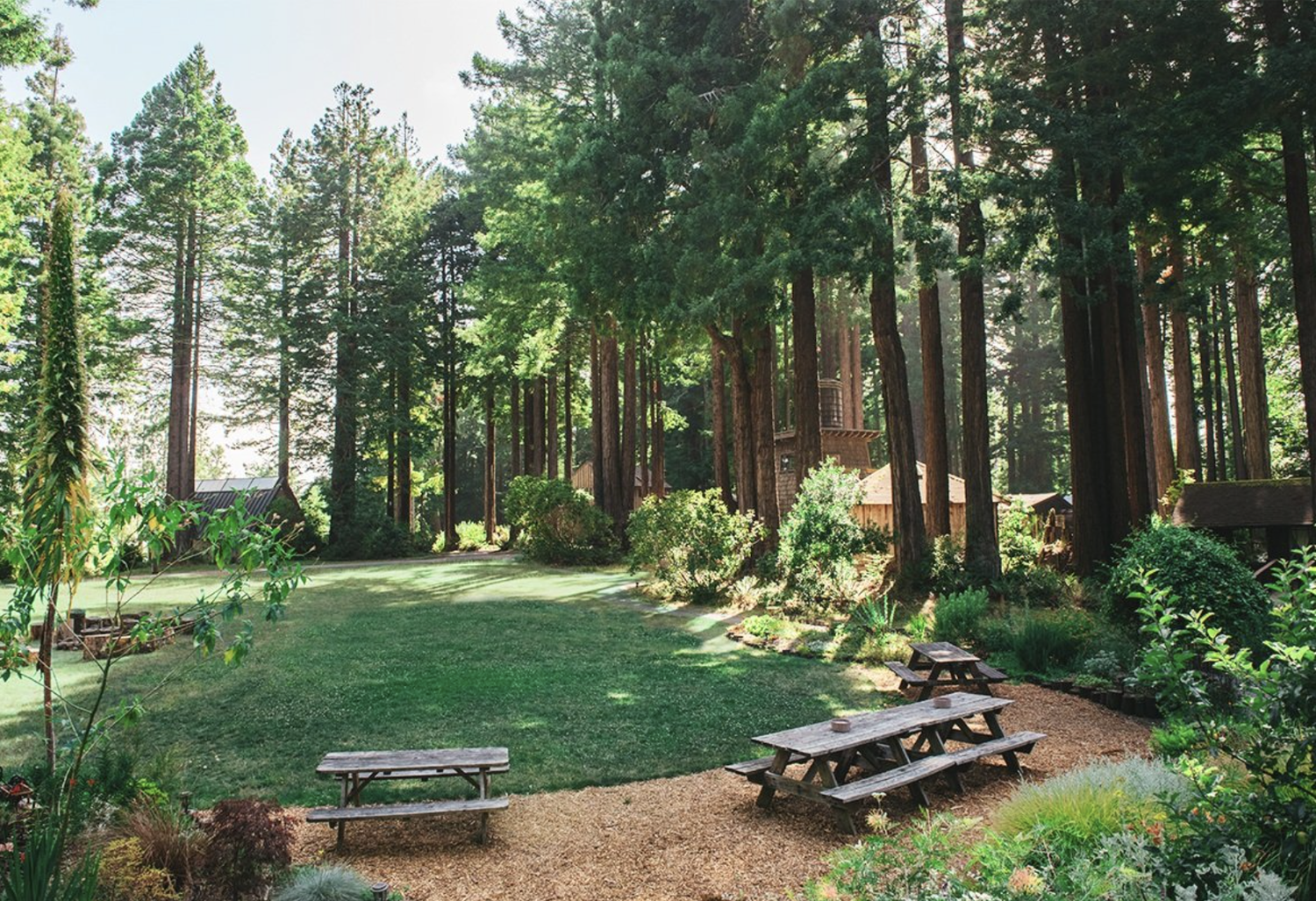 A Healing Retreat with Sound Bath and Gentle Yoga on the Mendocino Coast of Northern California