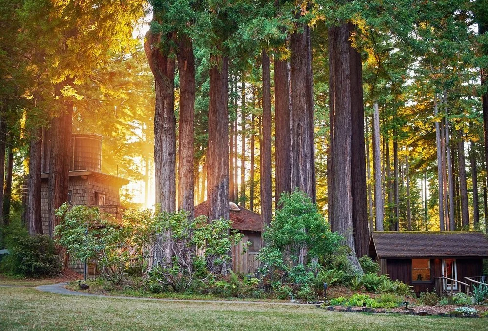 A Healing Retreat with Sound Bath and Gentle Yoga on the Mendocino Coast of Northern California (Copy)