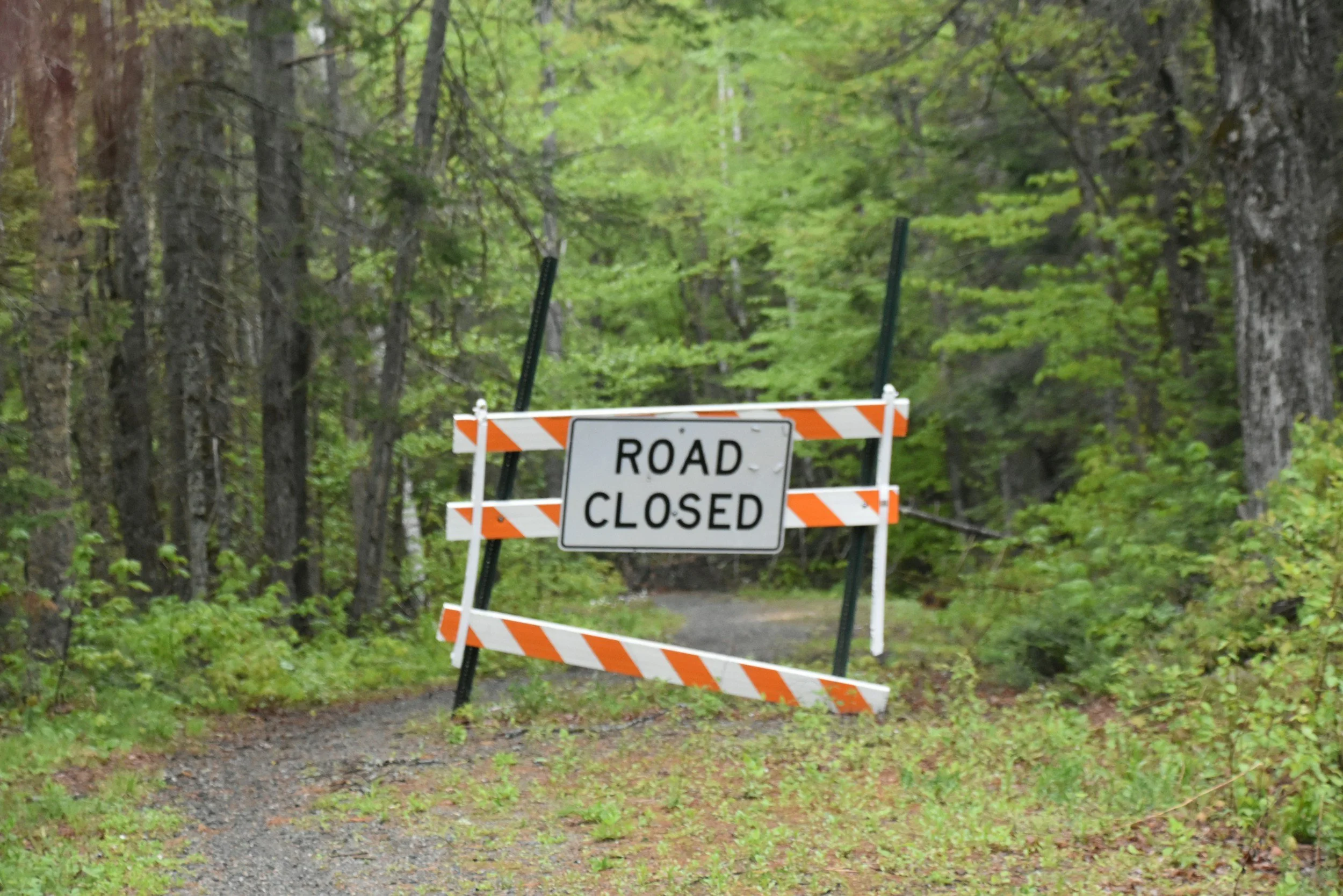 Backroads to Spirit Camp