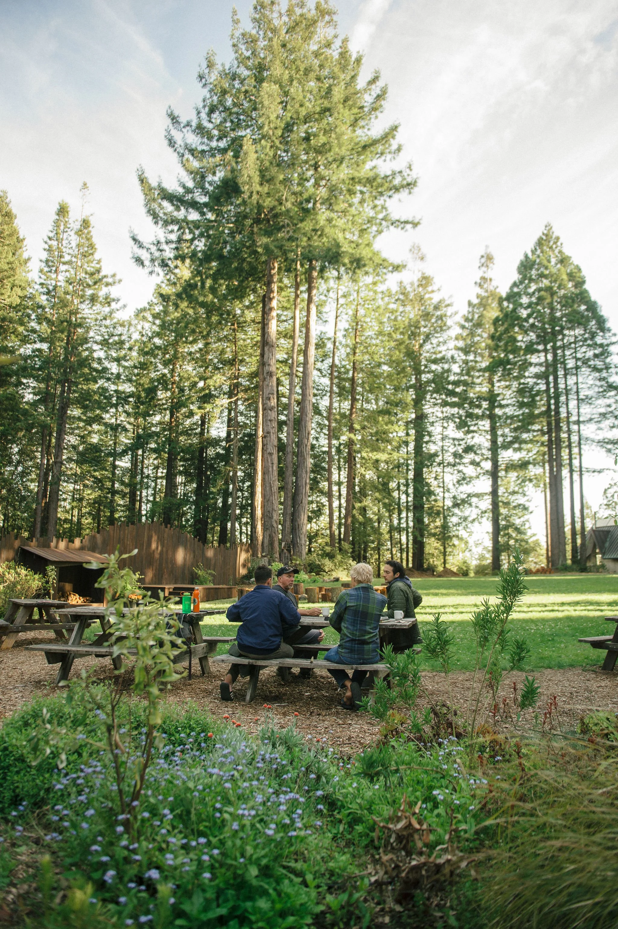 Outdoor picnic table with flower arrangements and bottles on it, in a forest setting with tall trees and a small cabin in the background at dusk