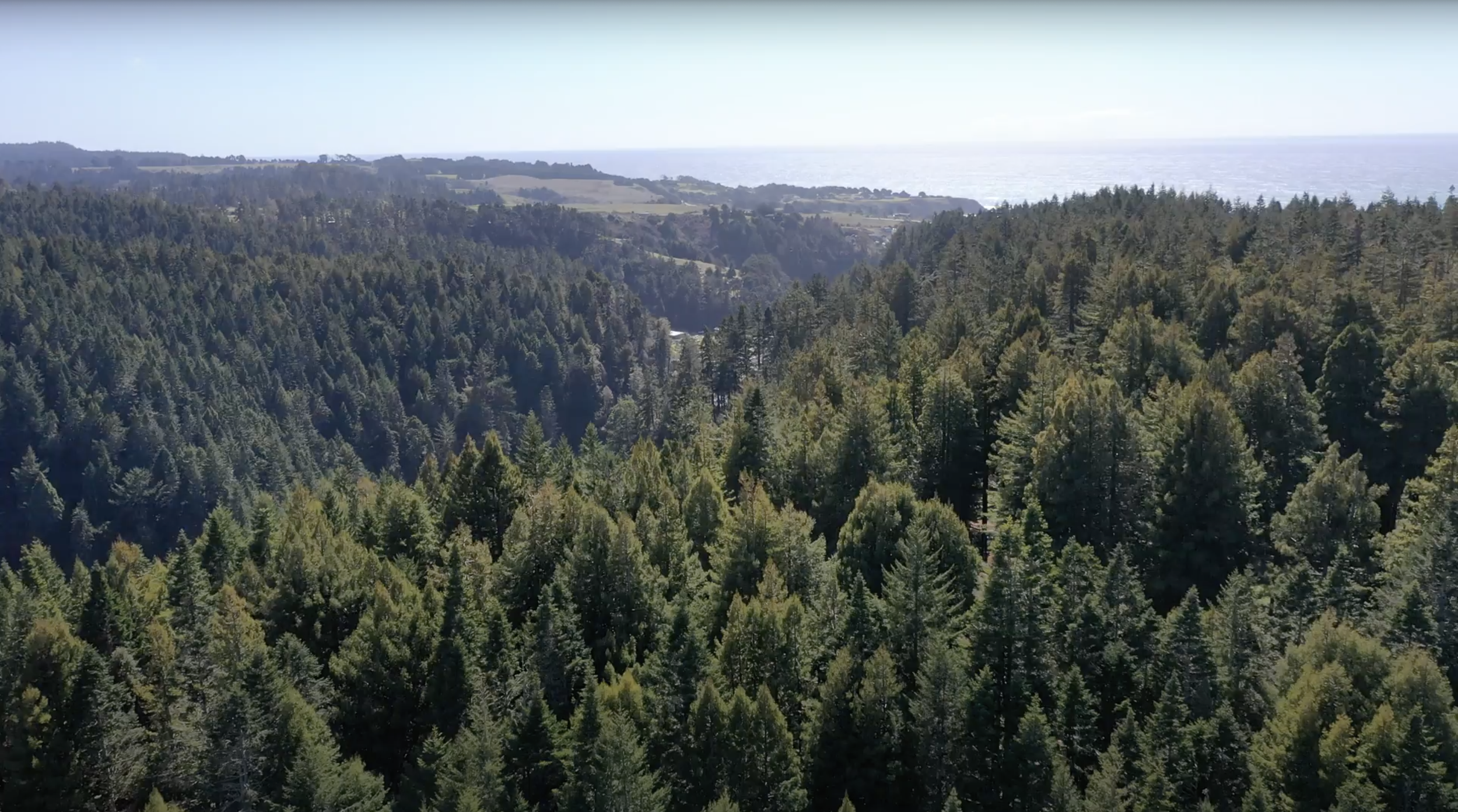 Screen Shot 2023-11-25 at 3.32.23 PM.png