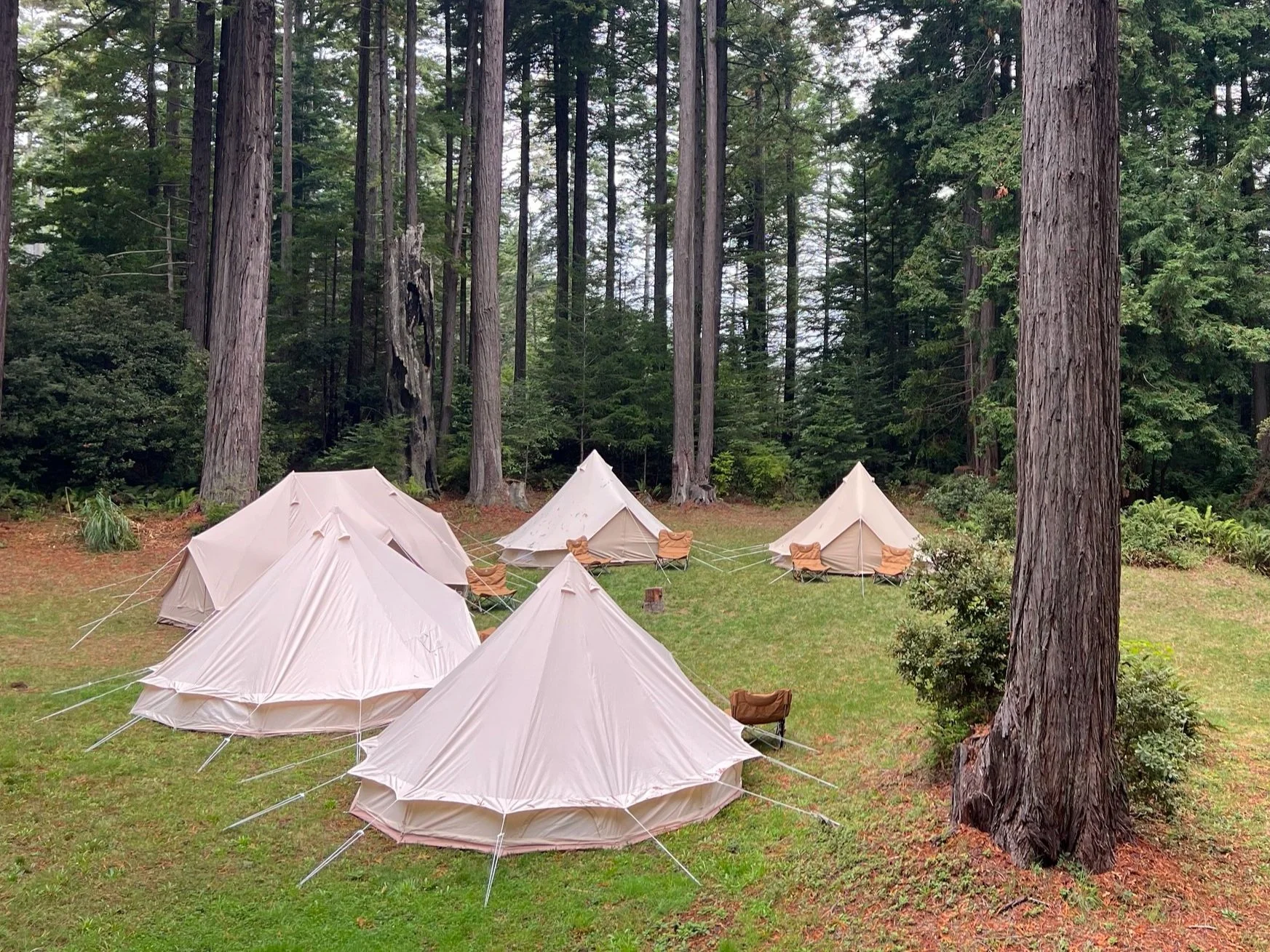 Glamping Spirit Camp 202310.jpg