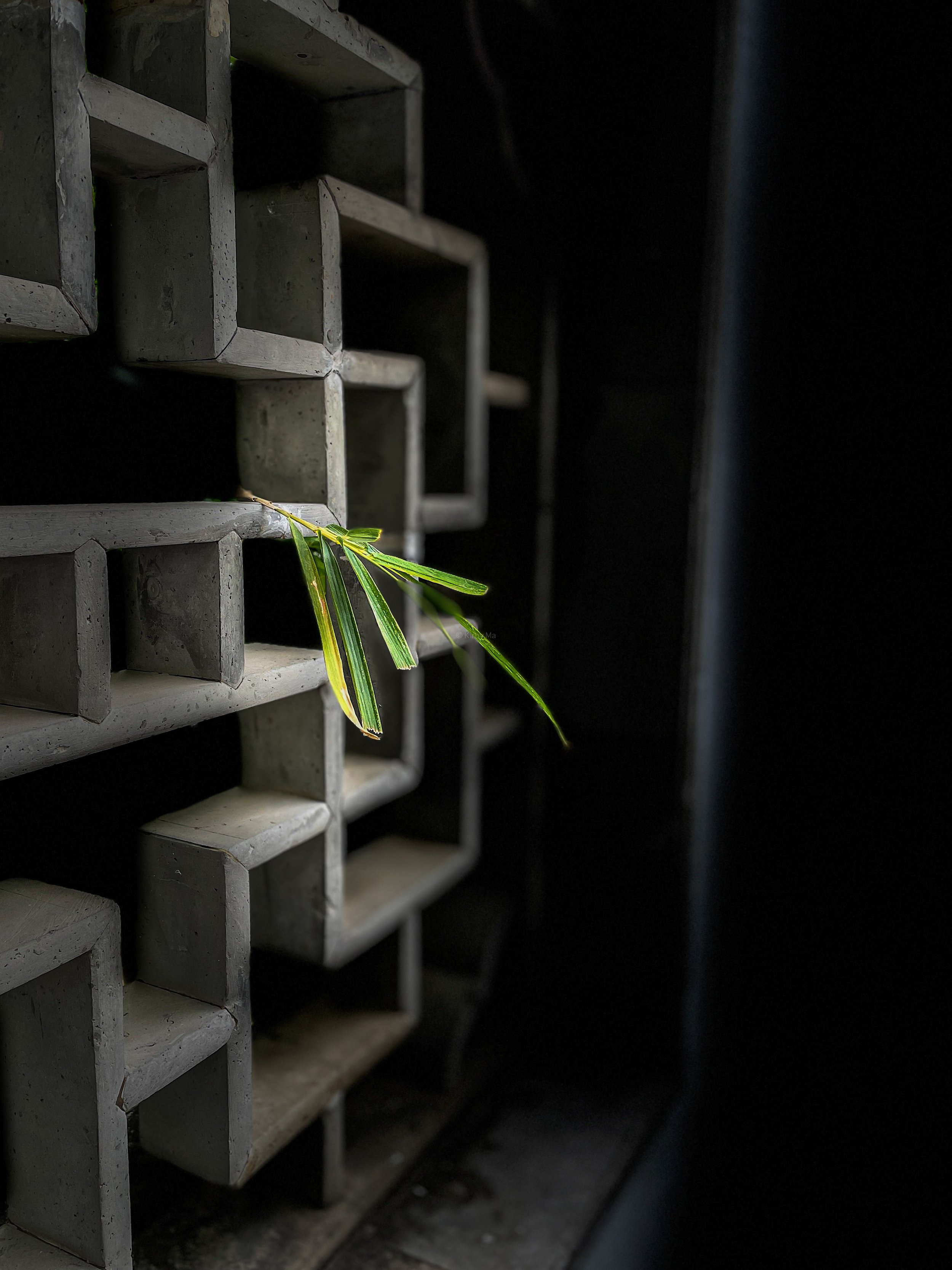 No. 29: REACHING OUT