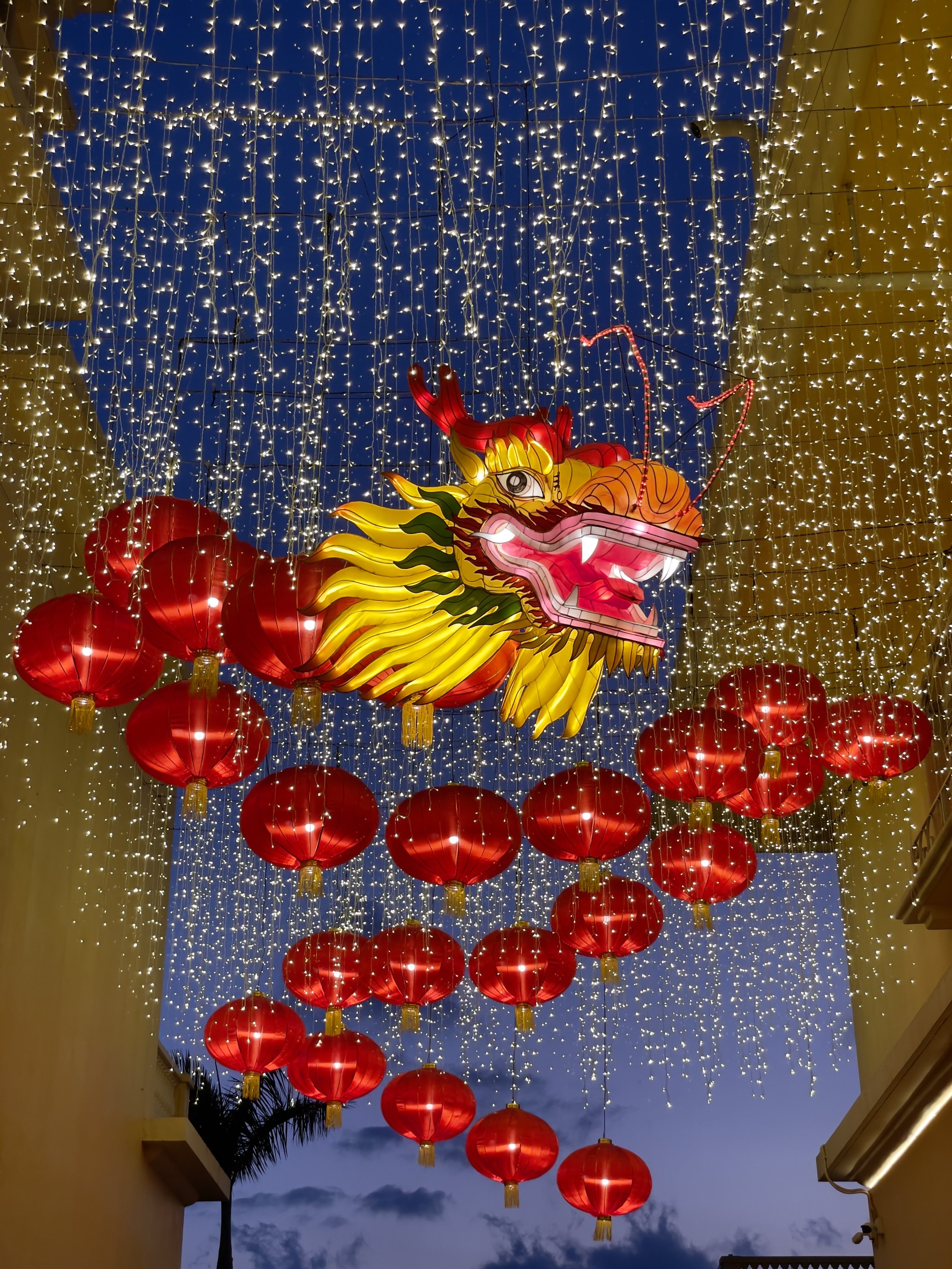 CS21 - FLYING DRAGON
(Hong Kong)